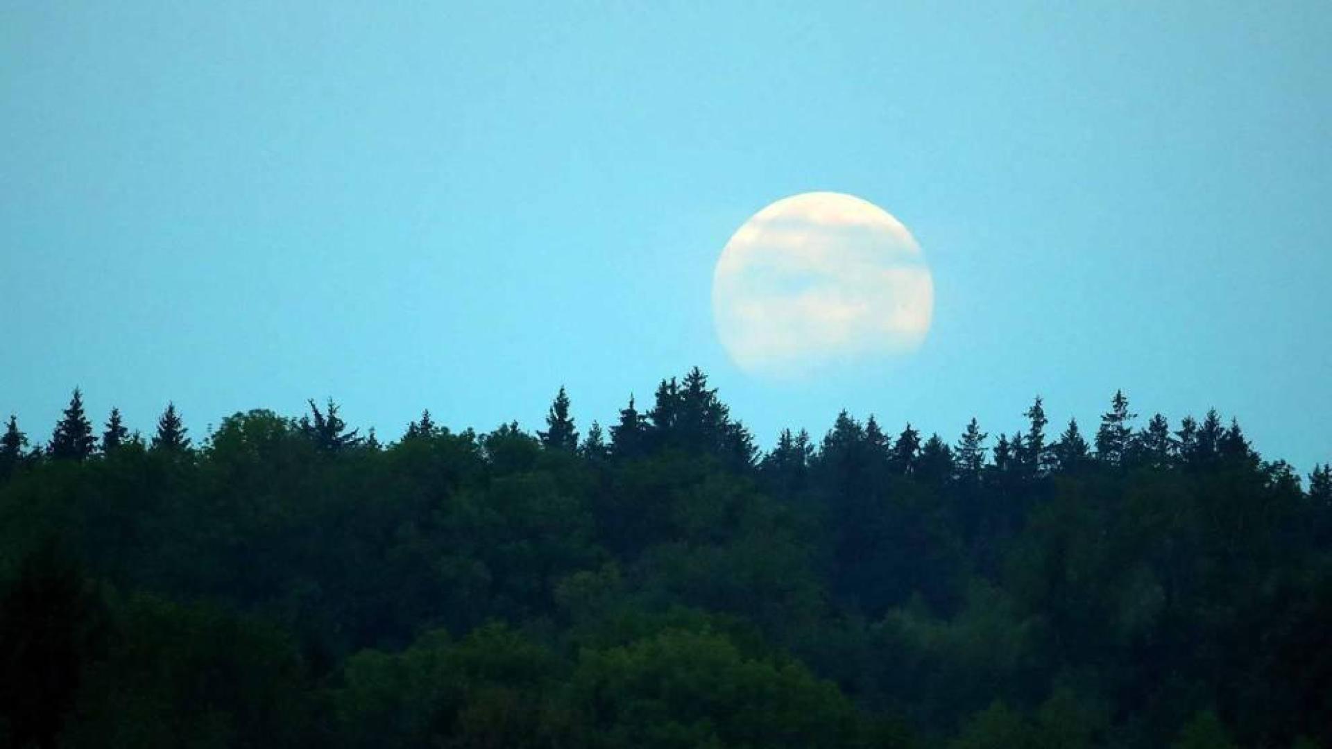 Fotos del eclipse lunar visto desde Navarra y otras partes del mundo (27 de julio de 2018)