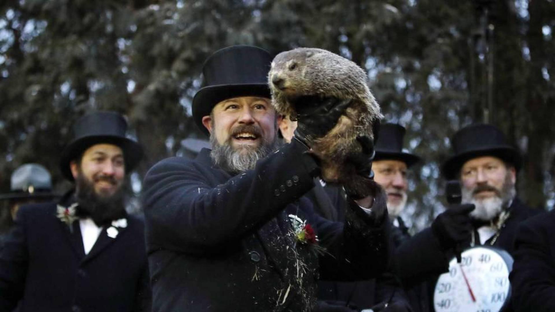 Fotos del día de la marmota 2019. Phil salió una vez más de su refugio para predecir una primavera anticipada.