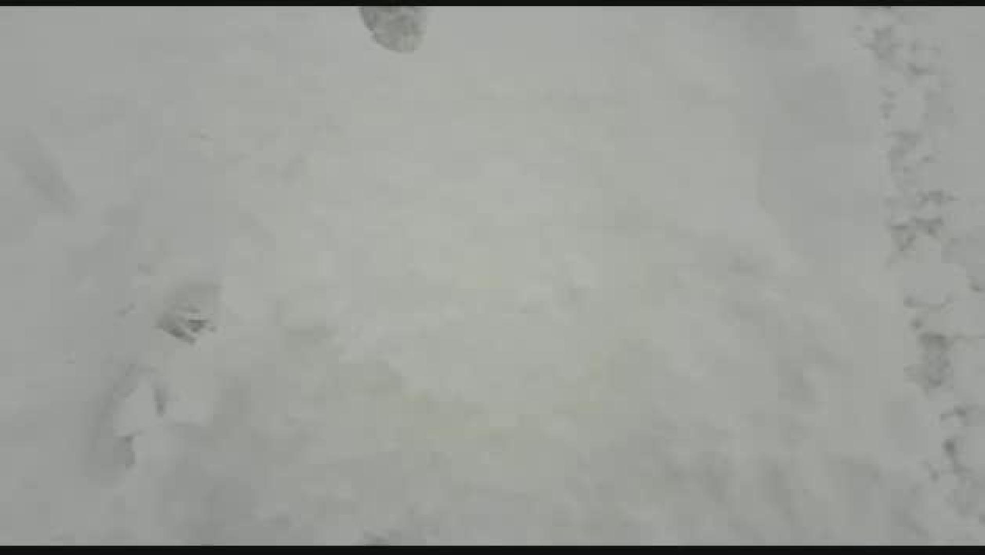 La nieve alcanza los 10 cm en la carretera NA214 Navascués- Burgui