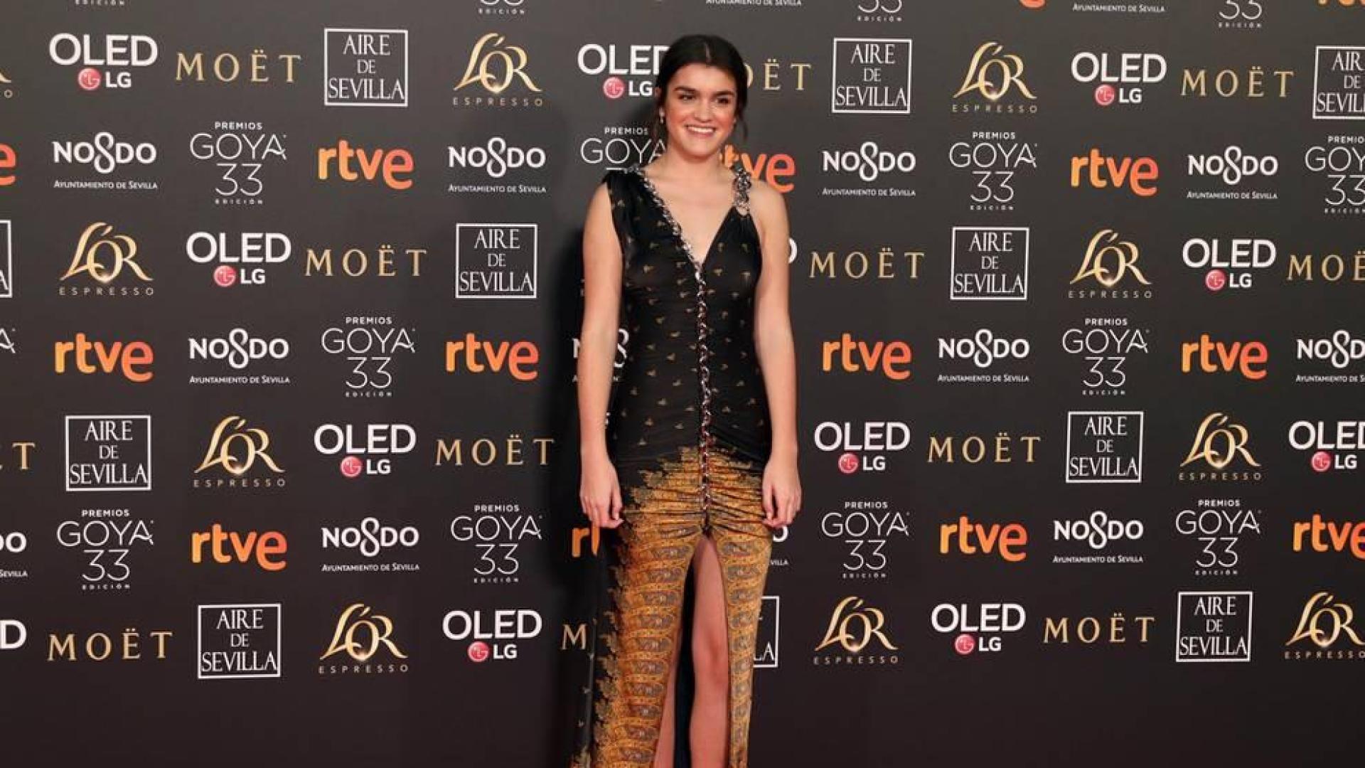 Los primeros invitados a la 33 ceremonia de los Premios Goya han comenzado a llegar a la alfombra roja del Palacio de Exposiciones y Congresos de Sevilla (FIBES) hacia las 18.20 horas de este sábado 2 de febrero