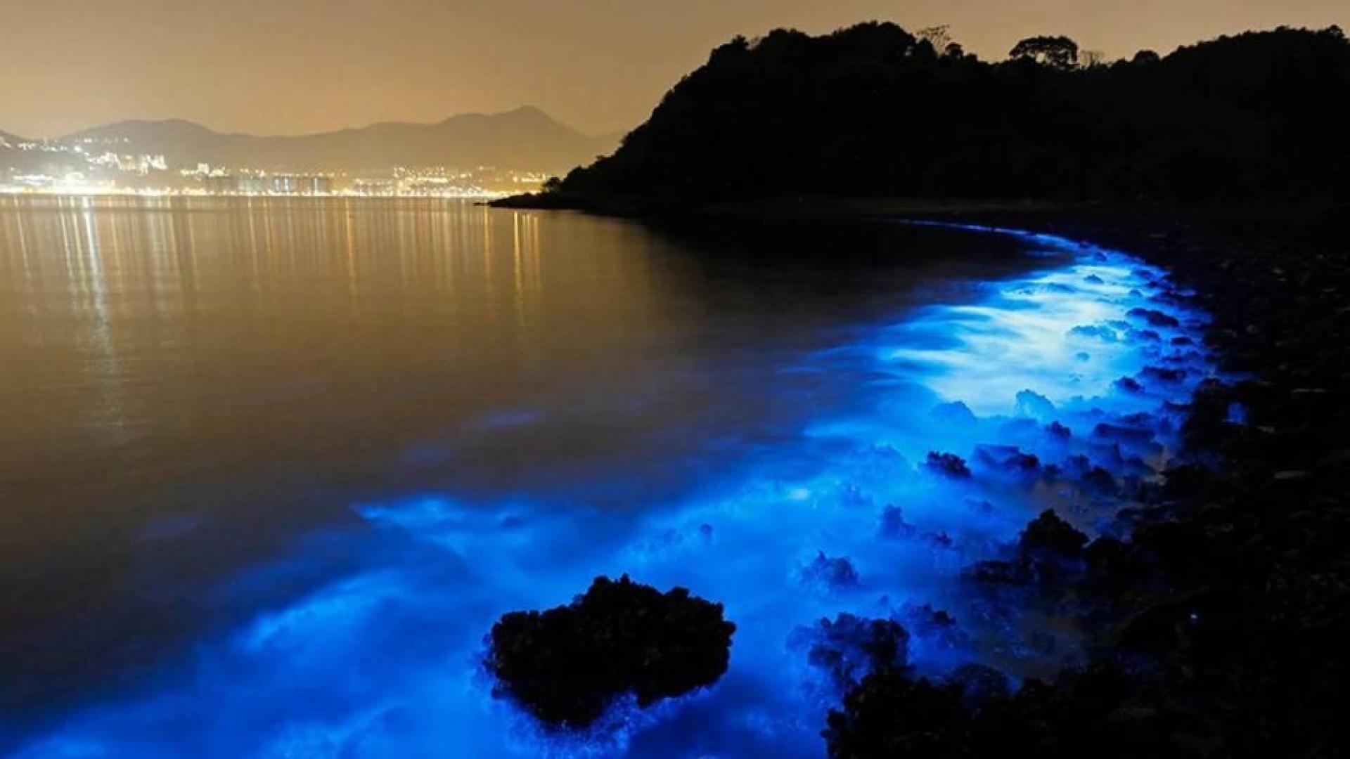La costa de Hong Kong brilla iluminada por algas Noctiluca scintillans.