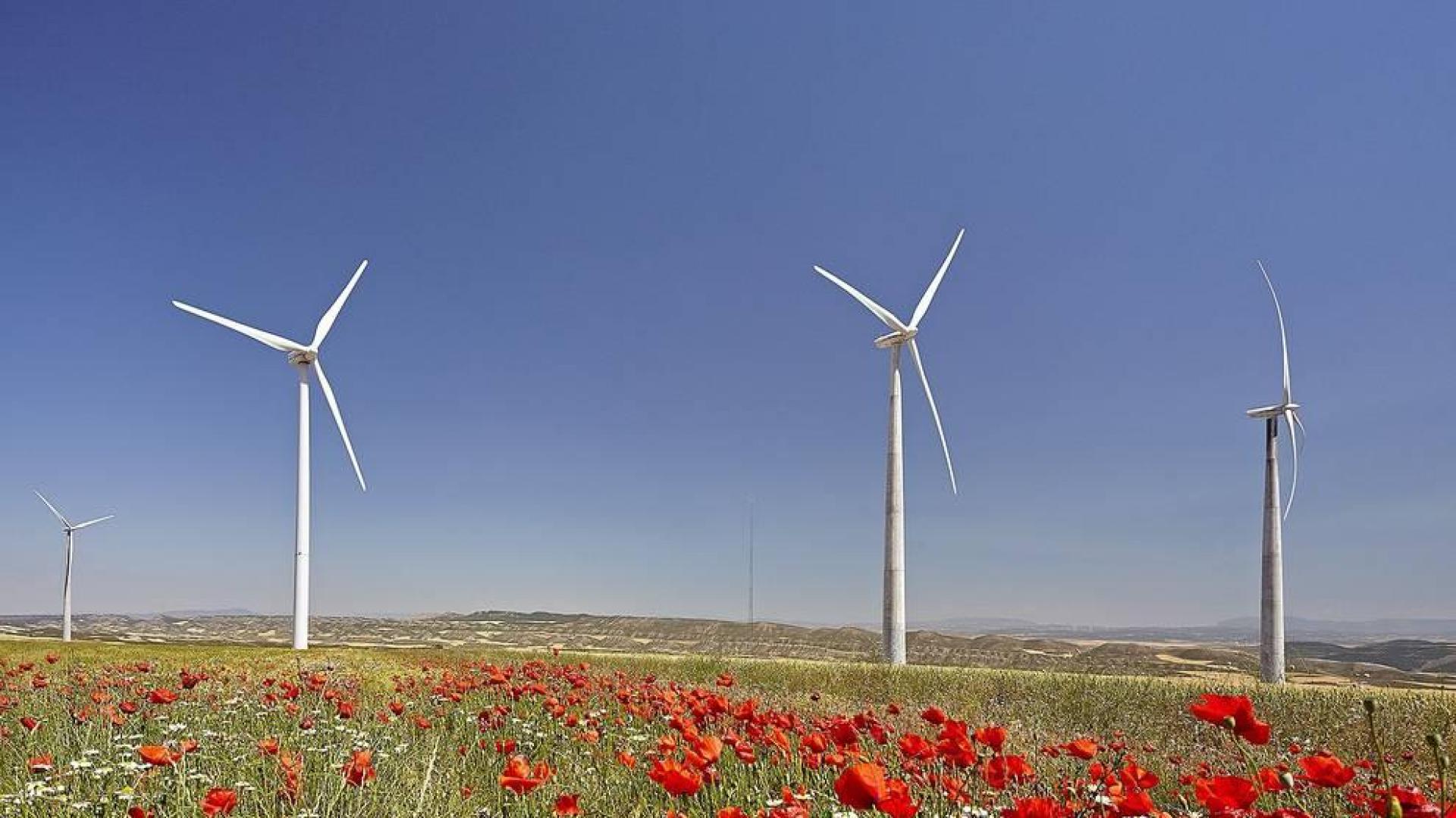 Las instalaciones de Nike en Europa recibirán energía de parques eólicos riberos