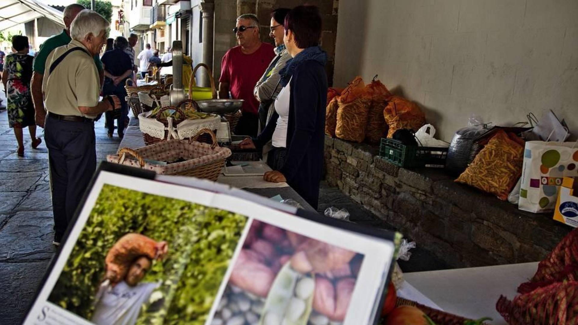 Fijar población en la zona de Sangüesa, reto del Gobierno