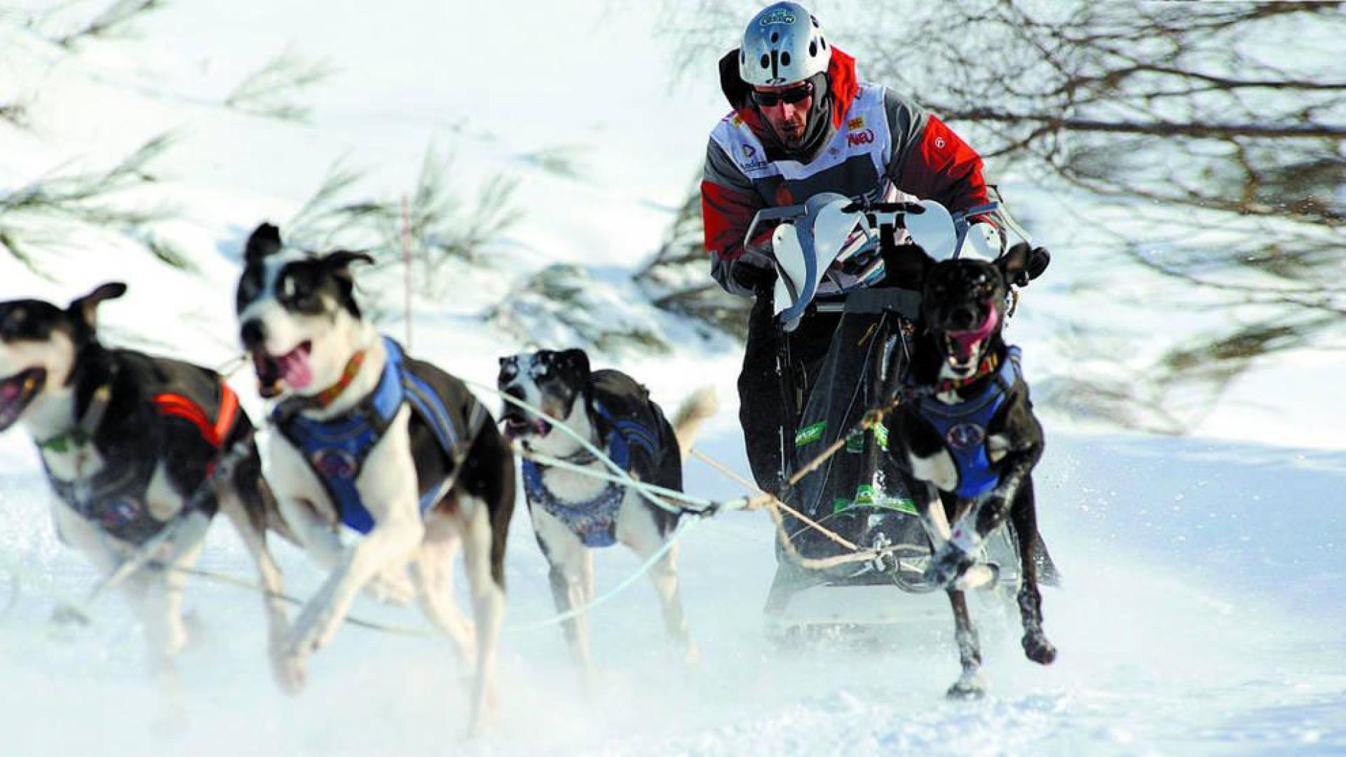 El musher navarro Iker Ozkoidi gana la Pyrénées Race
