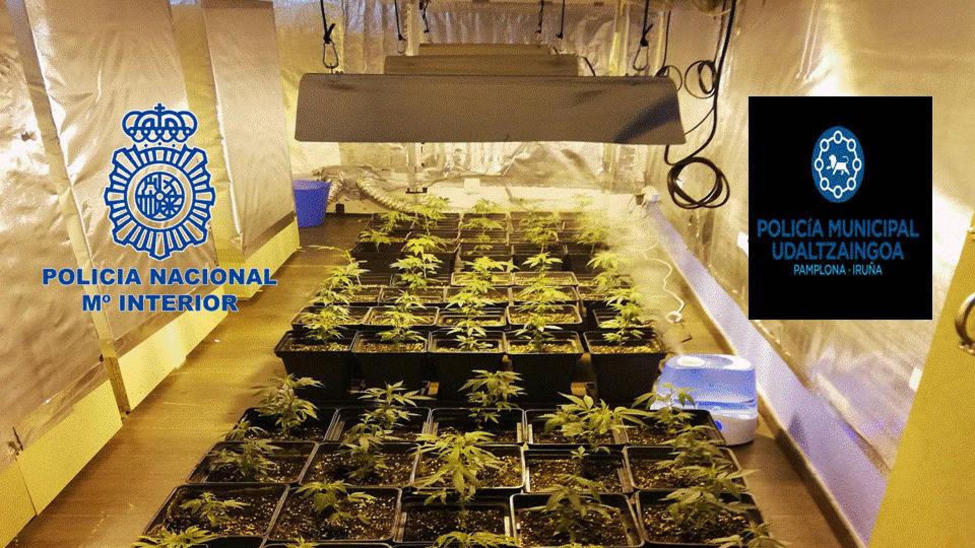 Dos detenidos por tráfico de drogas y desmantelado un punto de venta en Pamplona