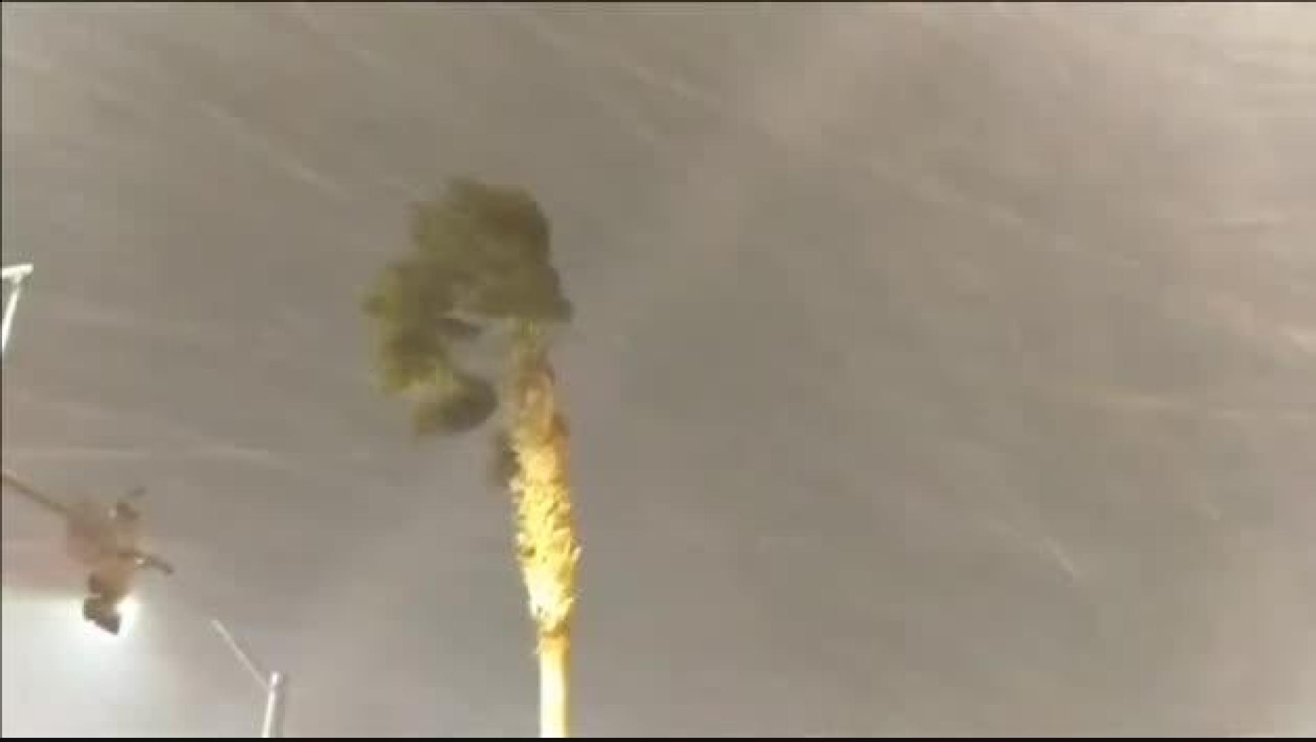 La nieve llega a Hawái