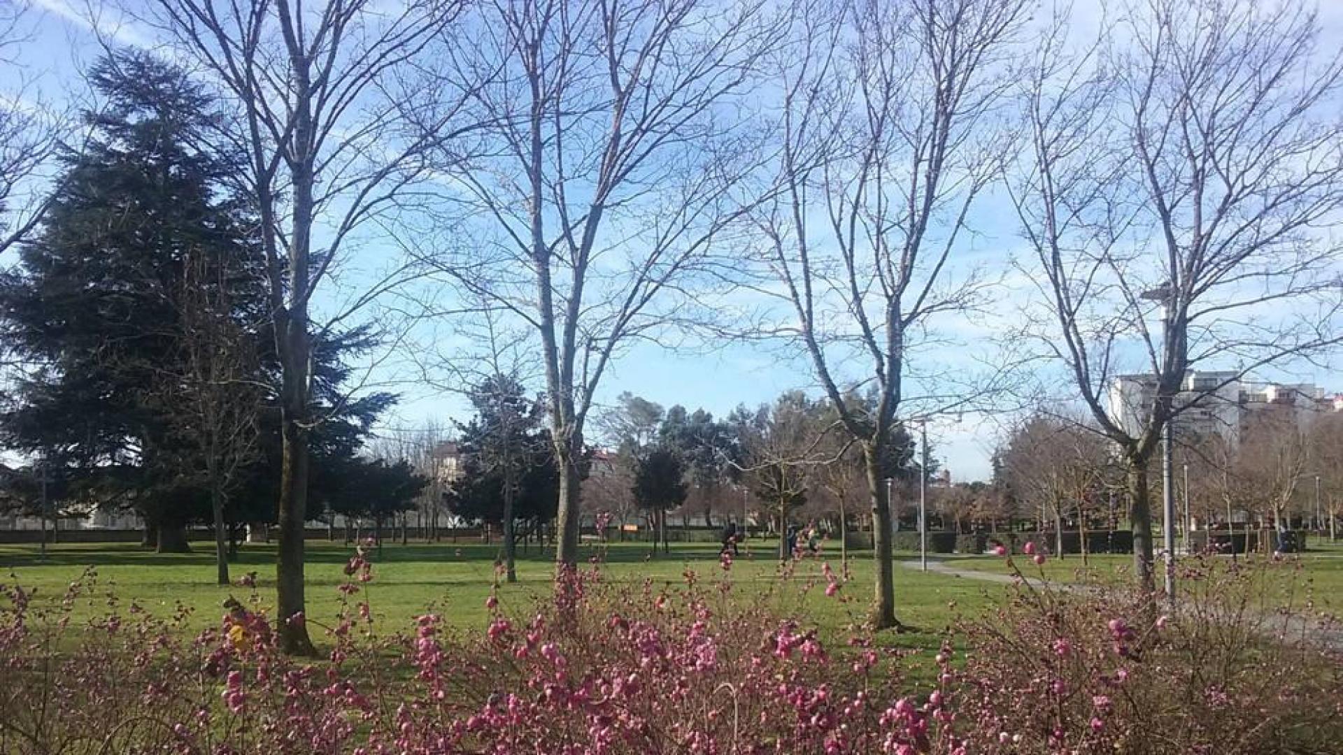 Semana con ausencia de lluvia y temperaturas máximas altas para la época