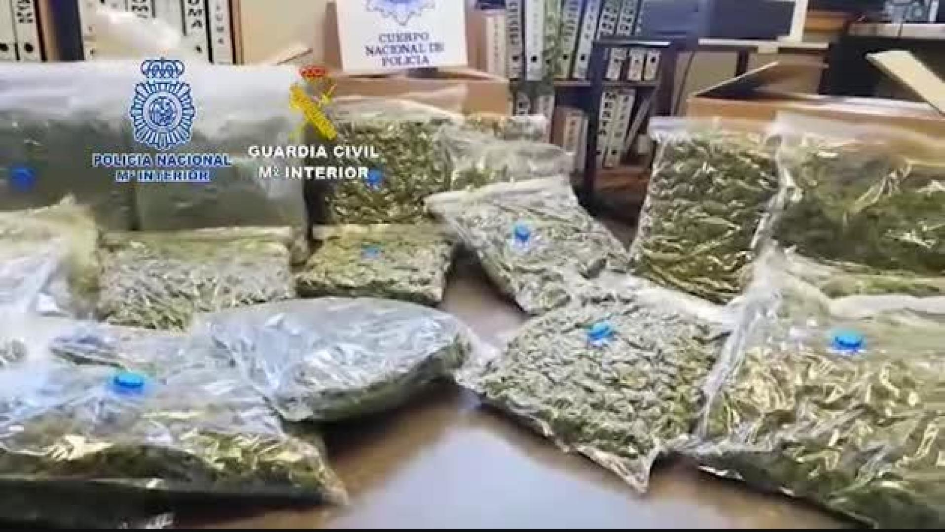 Cae una banda china dedicada al cultivo de marihuana para su venta a traficantes europeos
