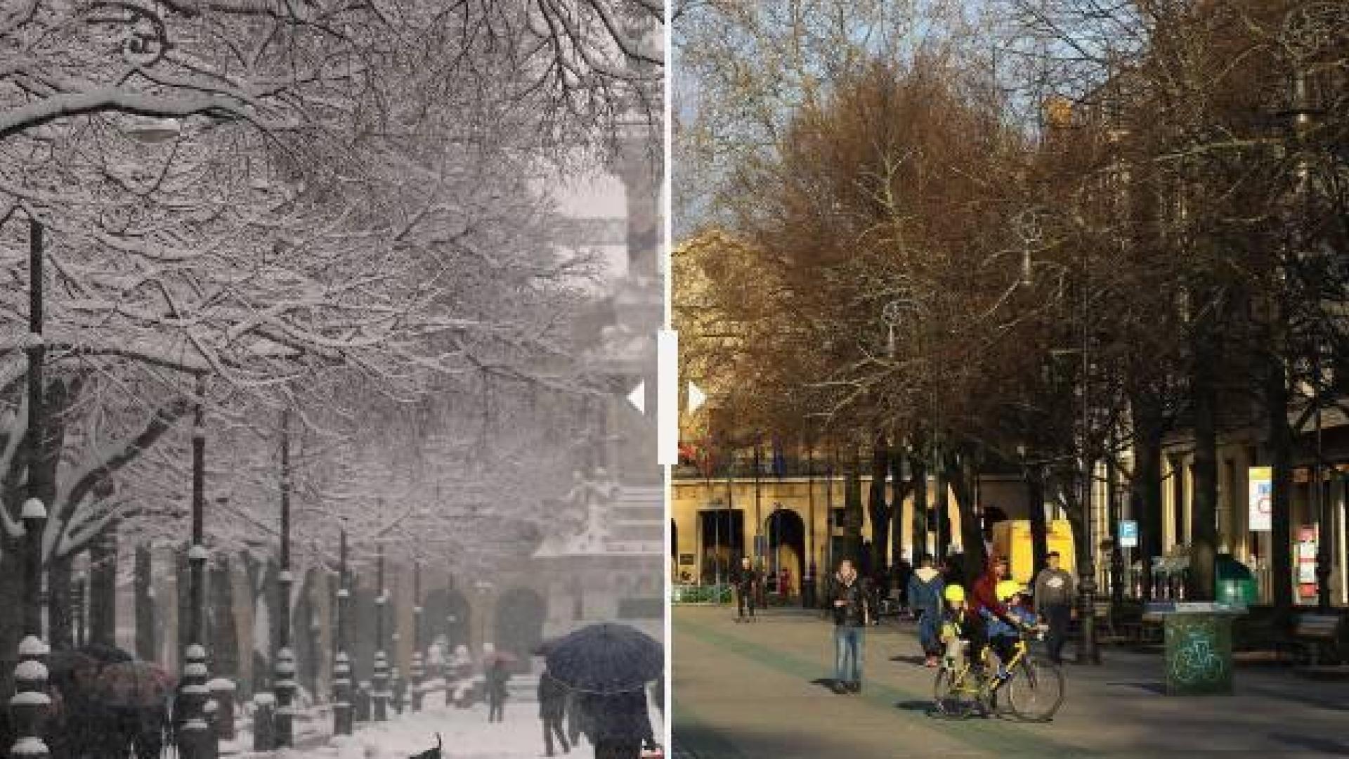 El paseo de Sarasate de Pamplona en 2018 y 2019.