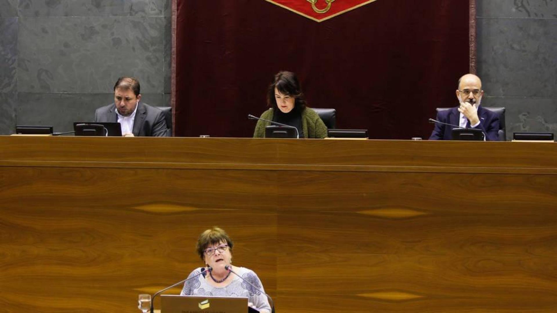 Incorporado el lenguaje inclusivo en la Ley del Gobierno de Navarra