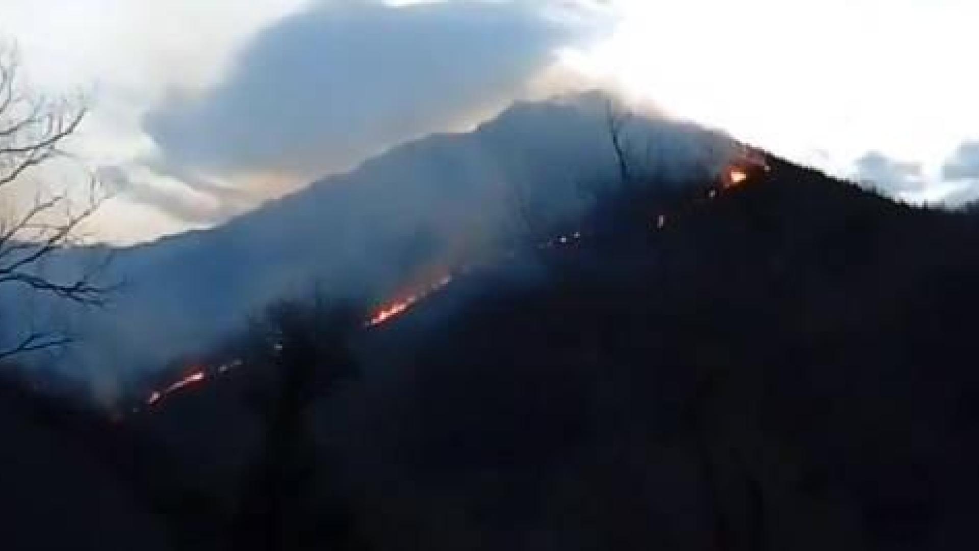 Navarra pide medios aéreos de refuerzo contra un incendio en Goizueta