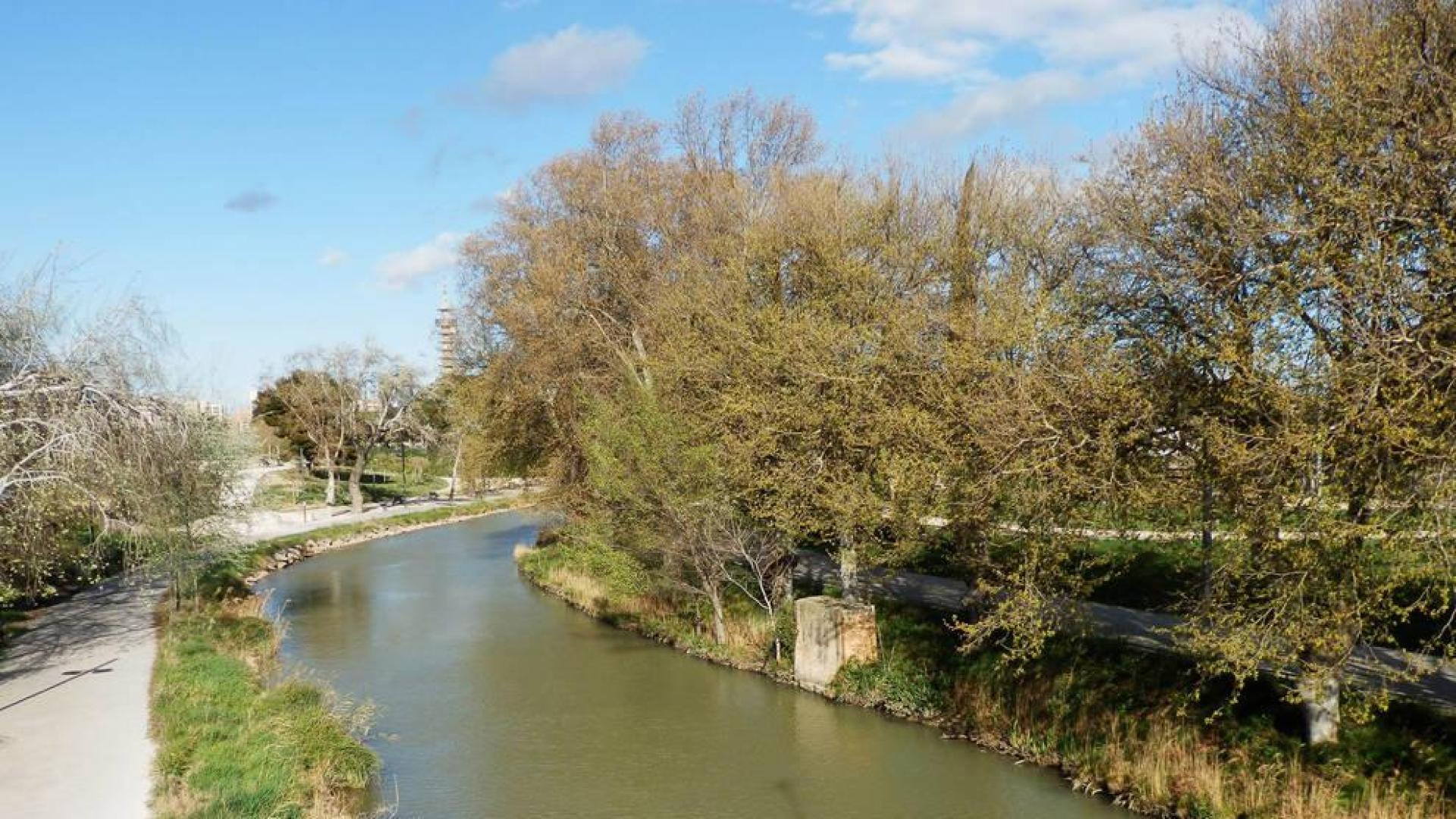 Un tramo del Canal Imperial de Aragón a su paso por Zaragoza.