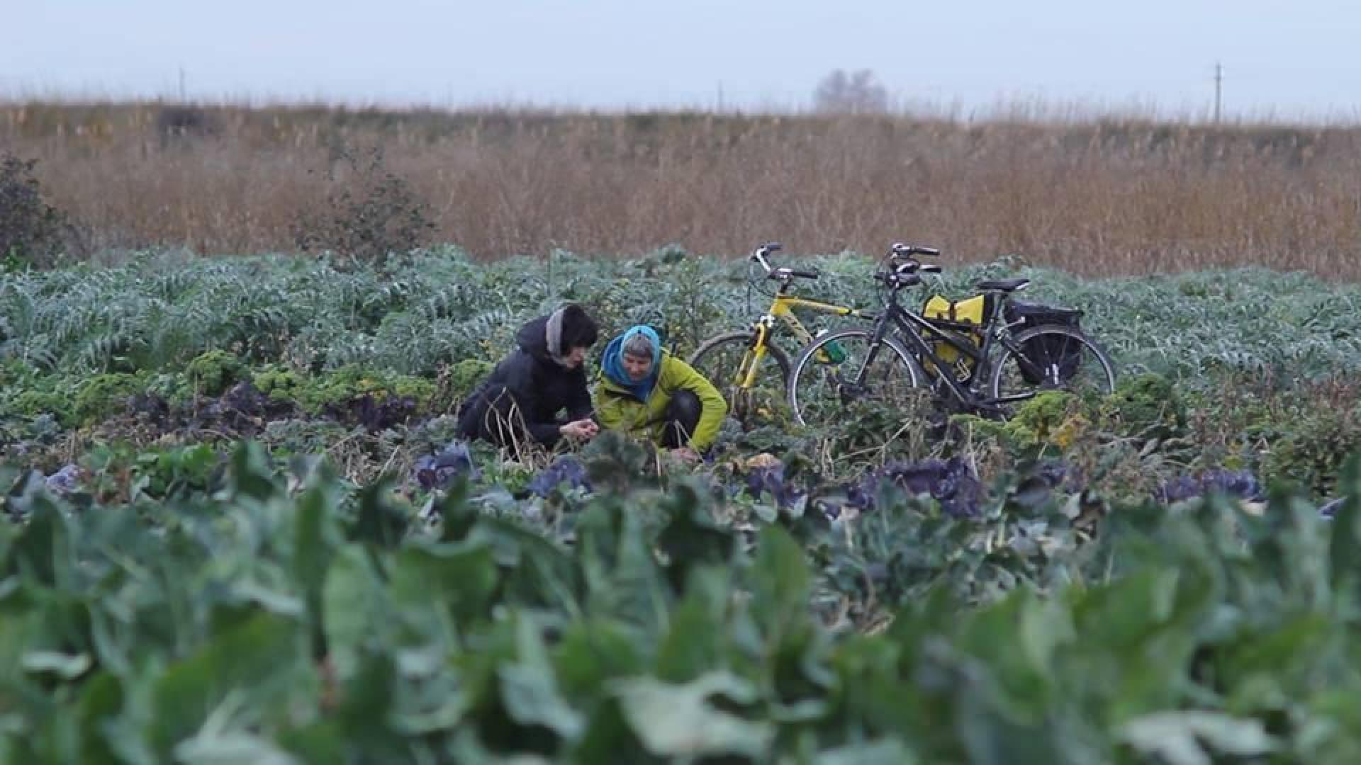 Tres meses de pedaleo para visibilizar la alimentación sostenible