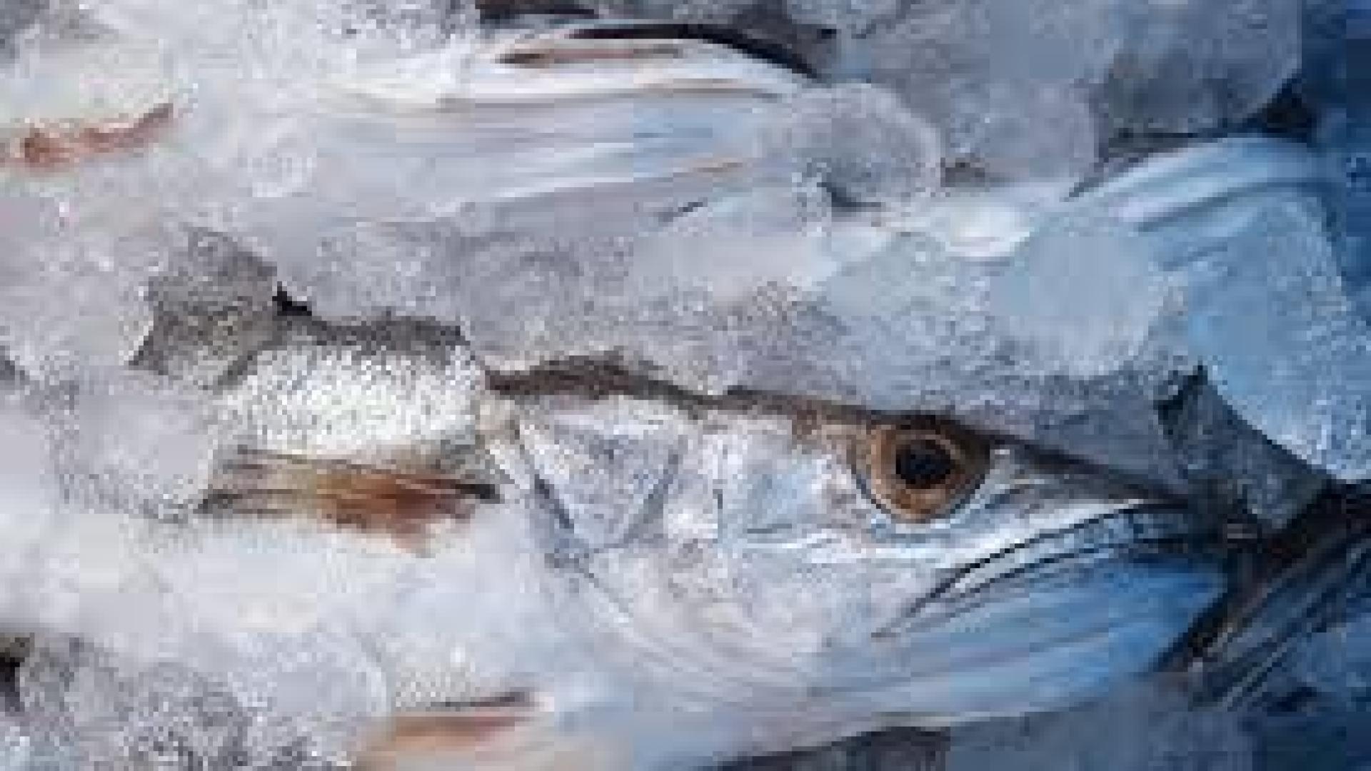 Cada vez comemos menos pescado