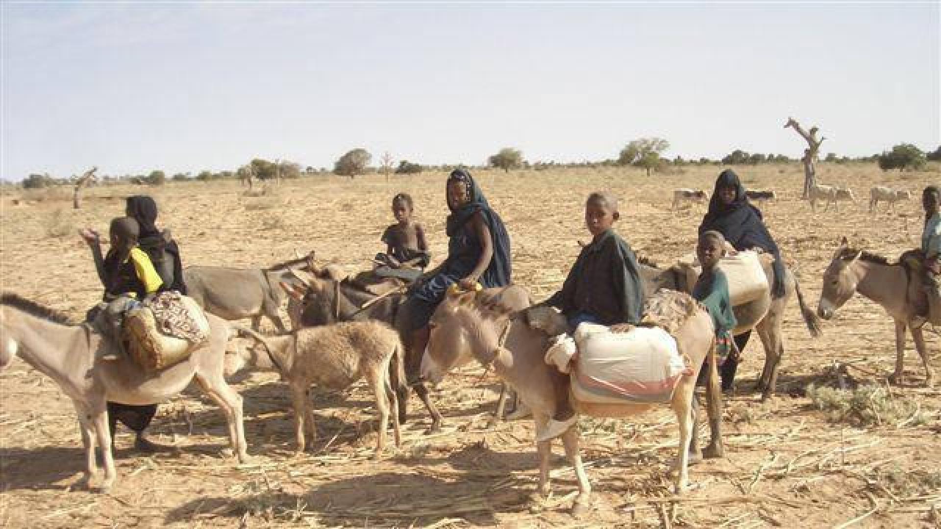 Cerca de 50 civiles muertos por un ataque de milicianos en el centro de Mali