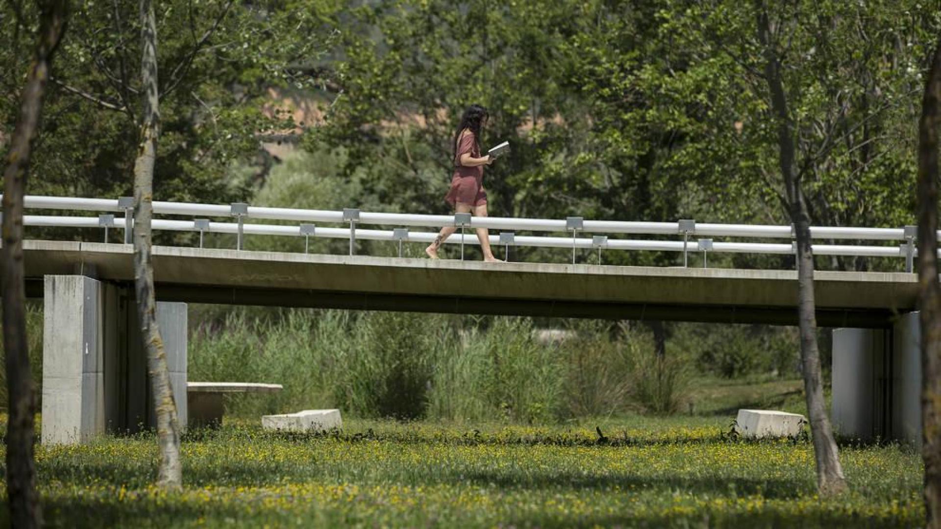 Aranzadi, un trocito de campo en la ciudad