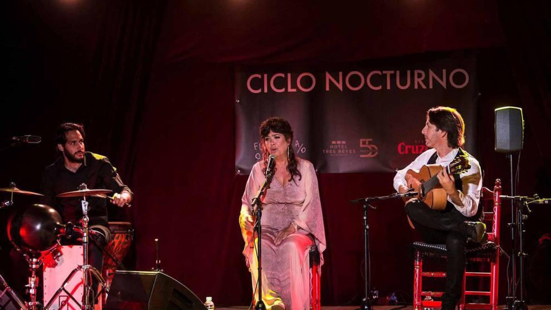 Fotos de algunas de las actuaciones de la quinta edición de Flamenco On Fire.