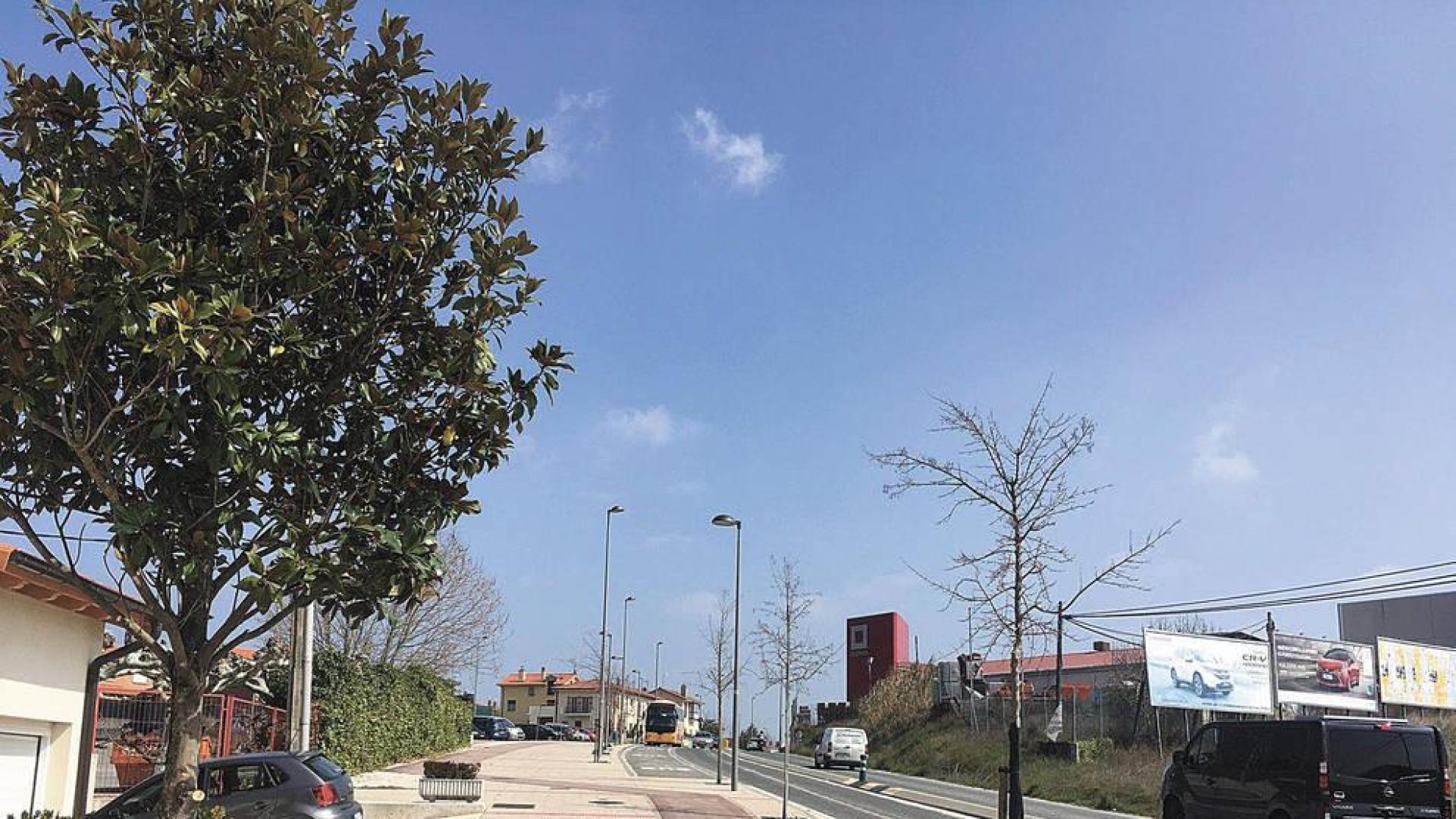 Orkoien tala 76 árboles y repone 174 en los últimos cinco años
