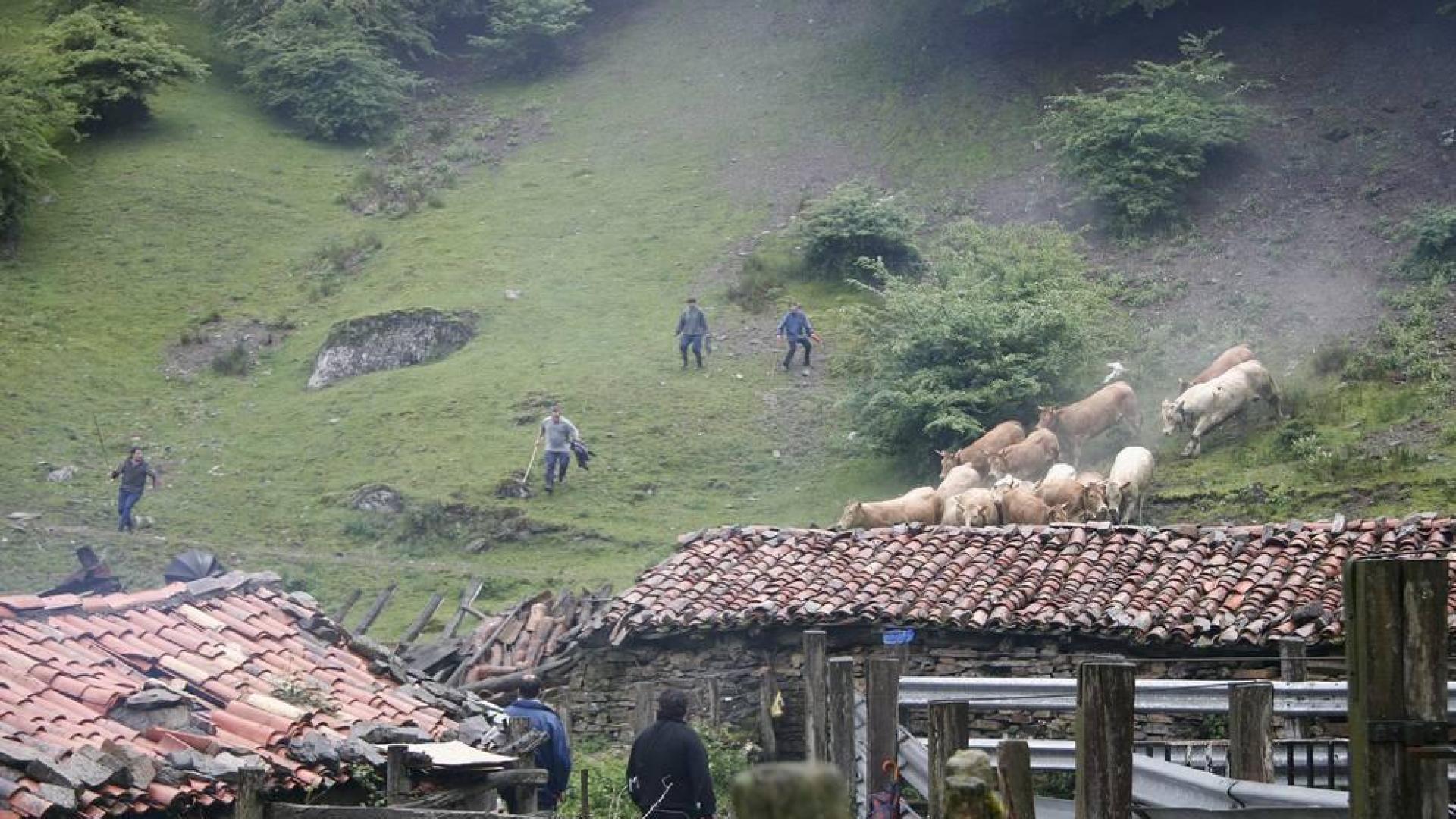 El Supremo obliga a modificar el mapa de 576 ha en Baztan y Eugi