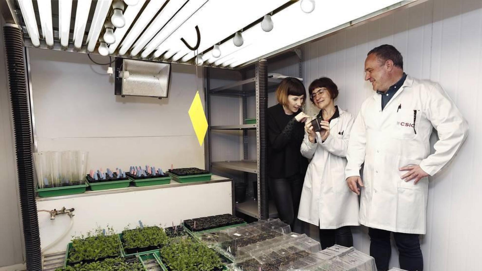 Estudiantes navarros estudian cómo llevar la agricultura a Marte