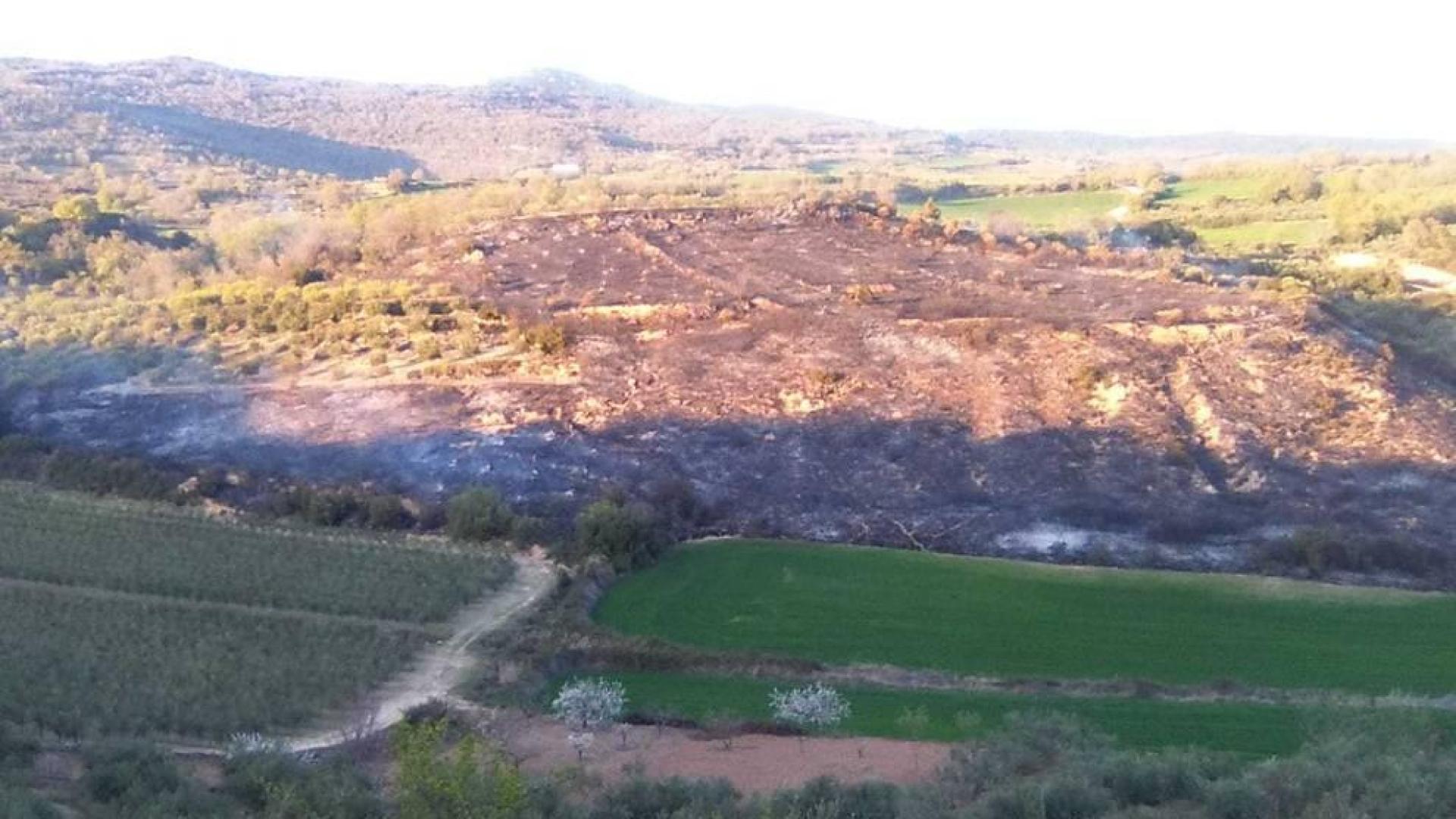 Extinguidos 19 incendios en Navarra, en su mayoría por quemas prohibidas