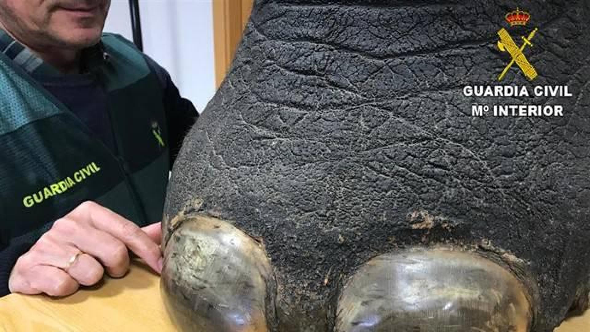 Detenido por intentar vender una pata de elefante con forma de taburete