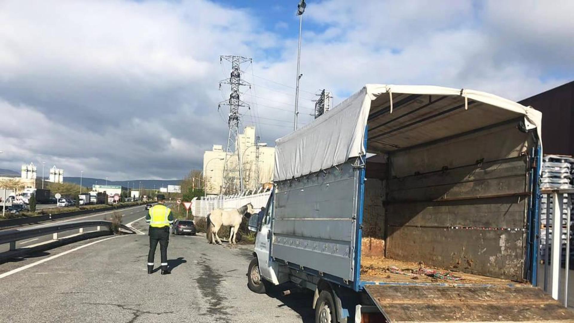 Retirados dos caballos que galopaban libres por la PA-30 en Landaben