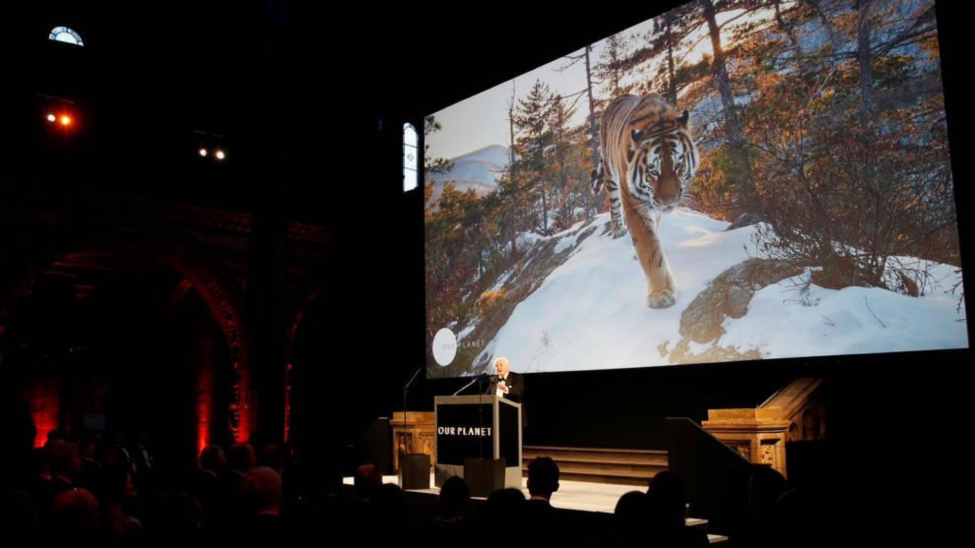 Netflix lanza 'Our Planet' como llamamiento a la preservación del planeta