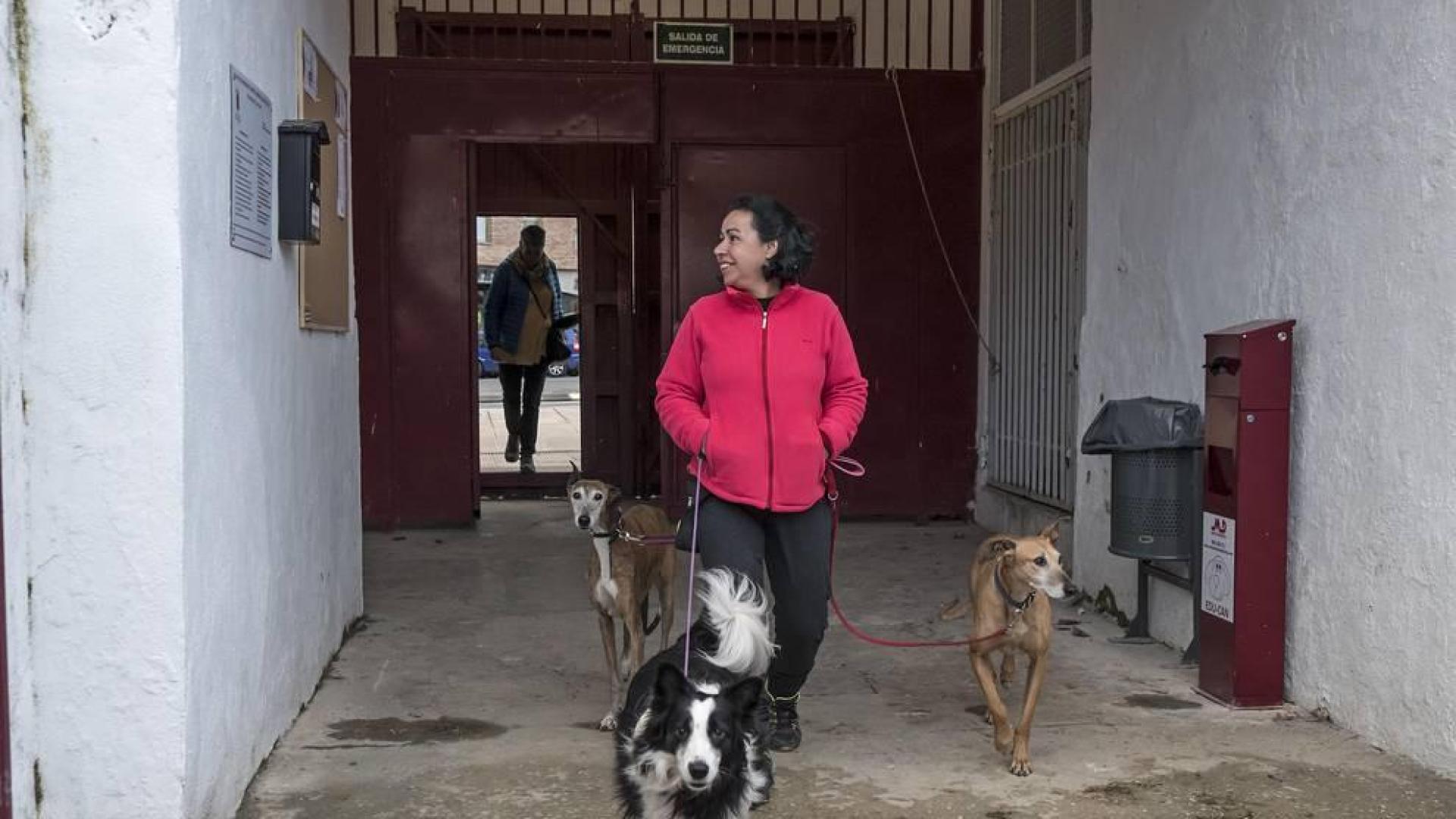 La plaza de toros como pipican se mantendrá sin cambiar la arena