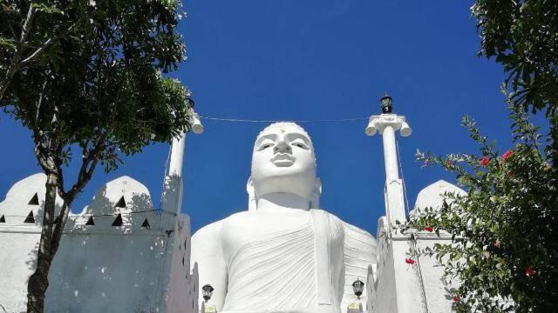 Regreso apresurado de Sri Lanka