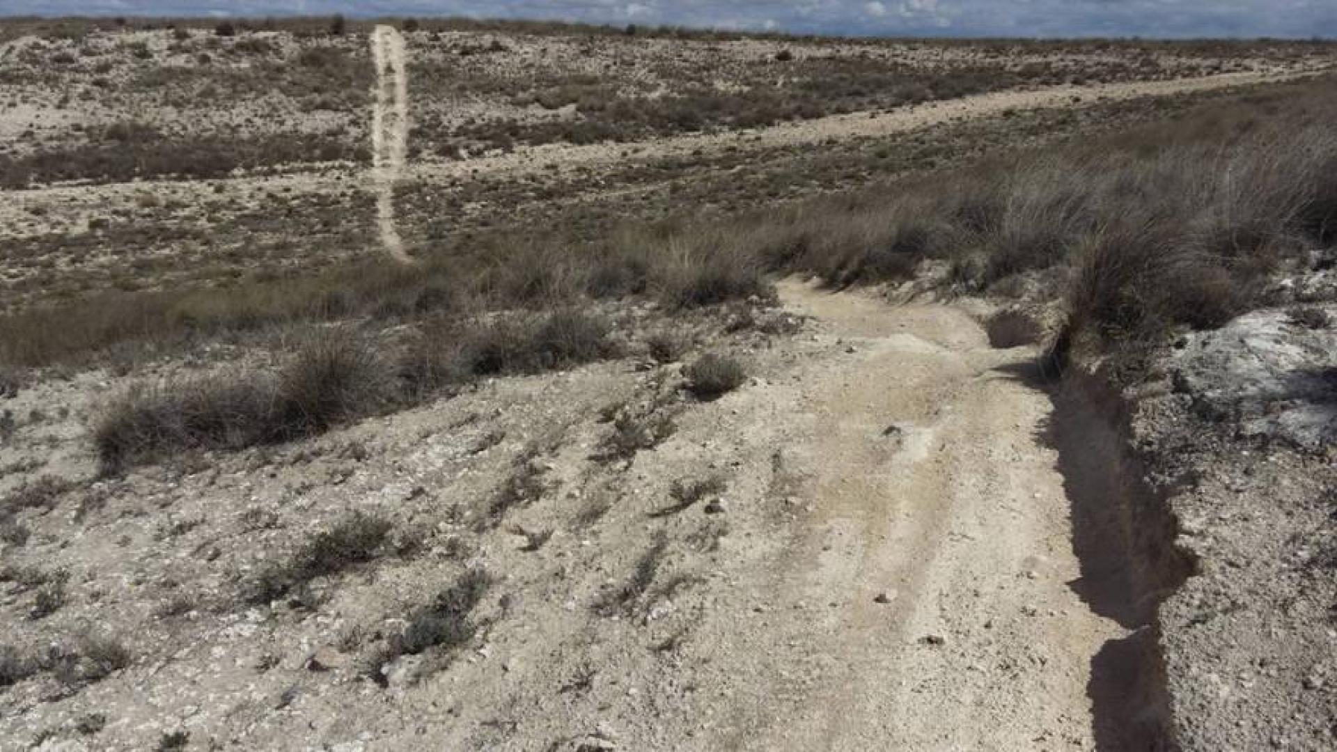 Ecologistas denuncian la "destrucción" del ZEC de Ablitas por motocross