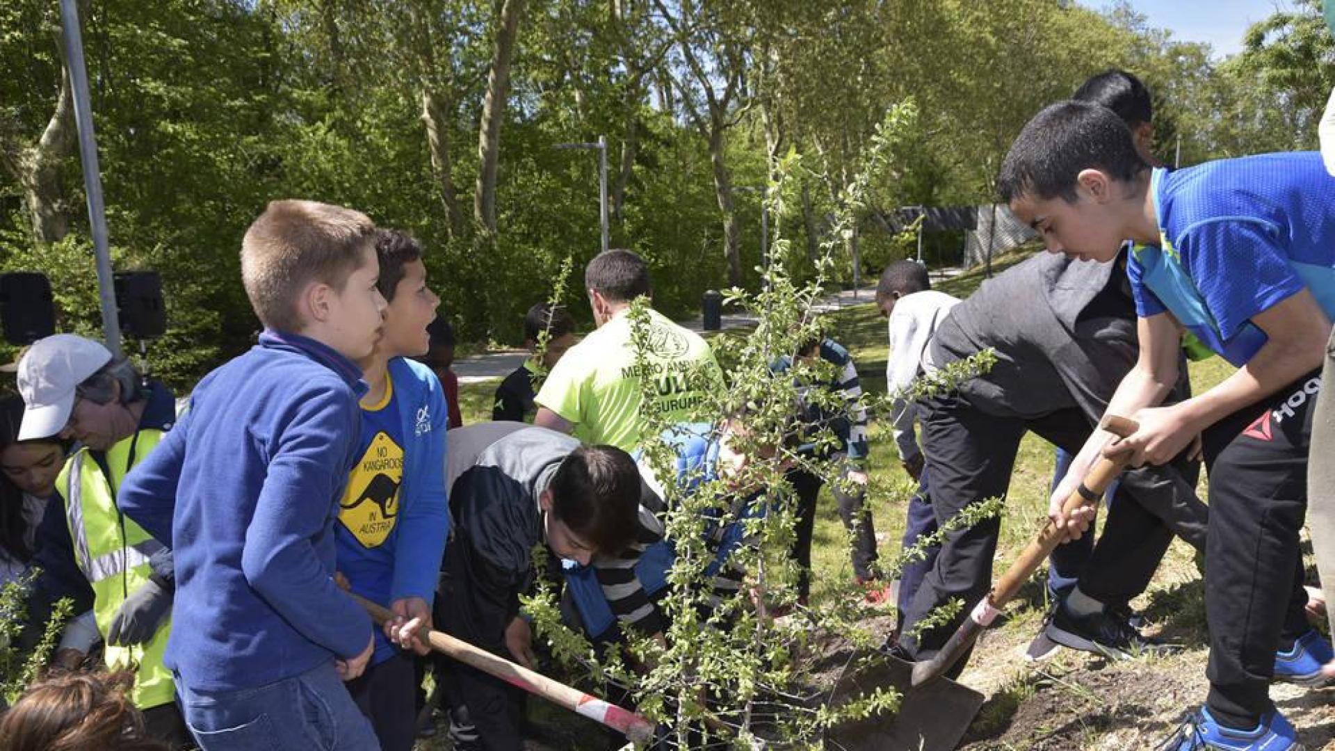 Escolares pamploneses plantan árboles en el Parque fluvial