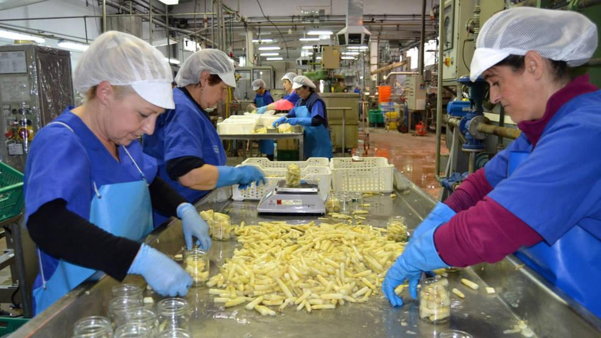Tres posibles soluciones según el tipo de empresa