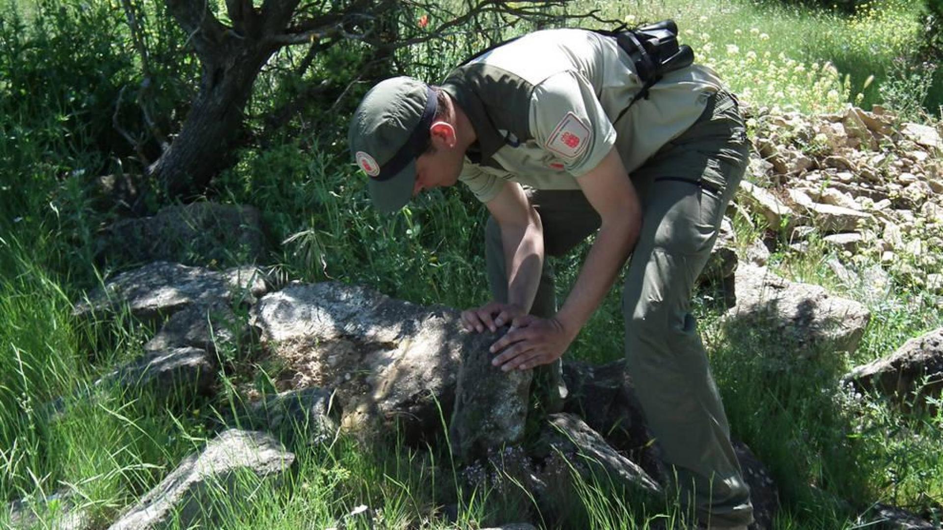 El Gobierno de Navarra promete mejorar la seguridad de los guardas forestales