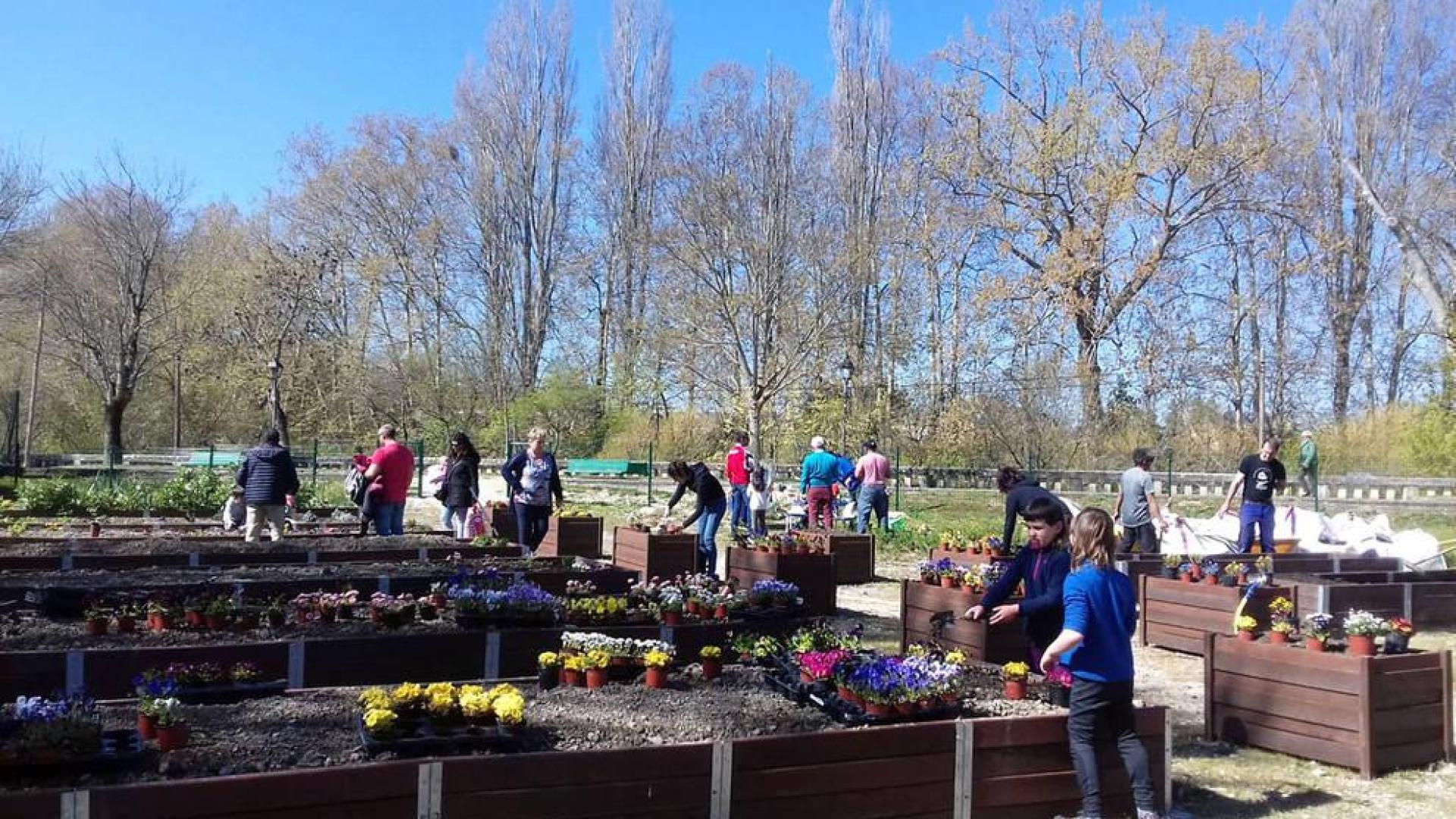 Cita en los huertos urbanos de Pamplona para plantar este fin de semana