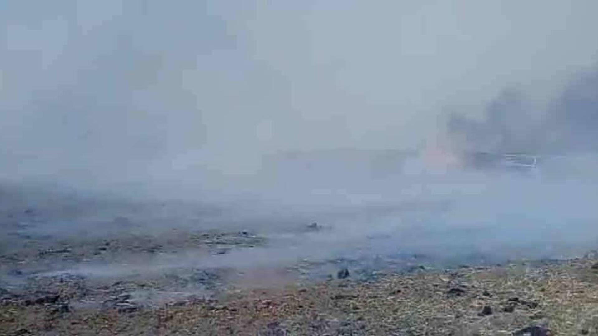 Daños en el ganado en el fuego de una pajera en Tudela
