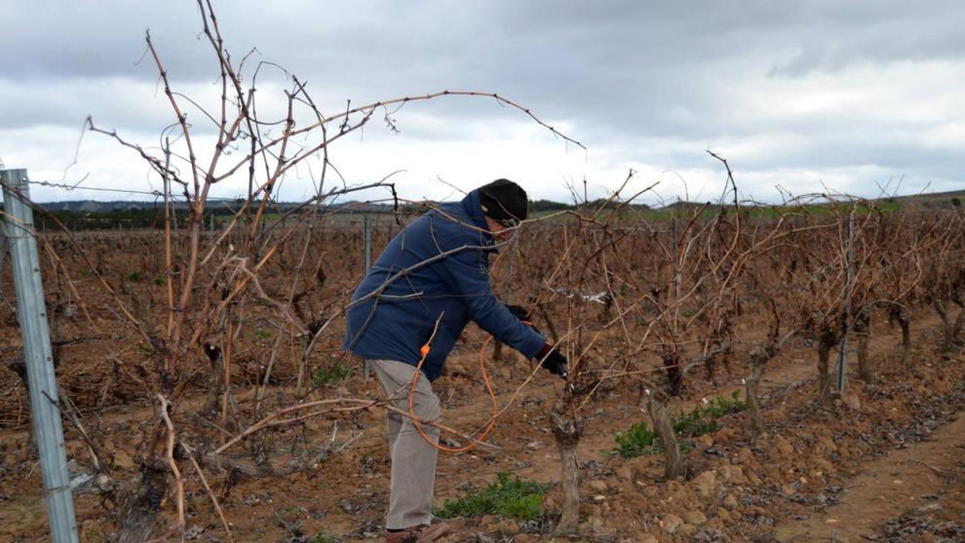 Una marcha de 35 km recorre este viernes la Ribera para pedir el Canal de Navarra