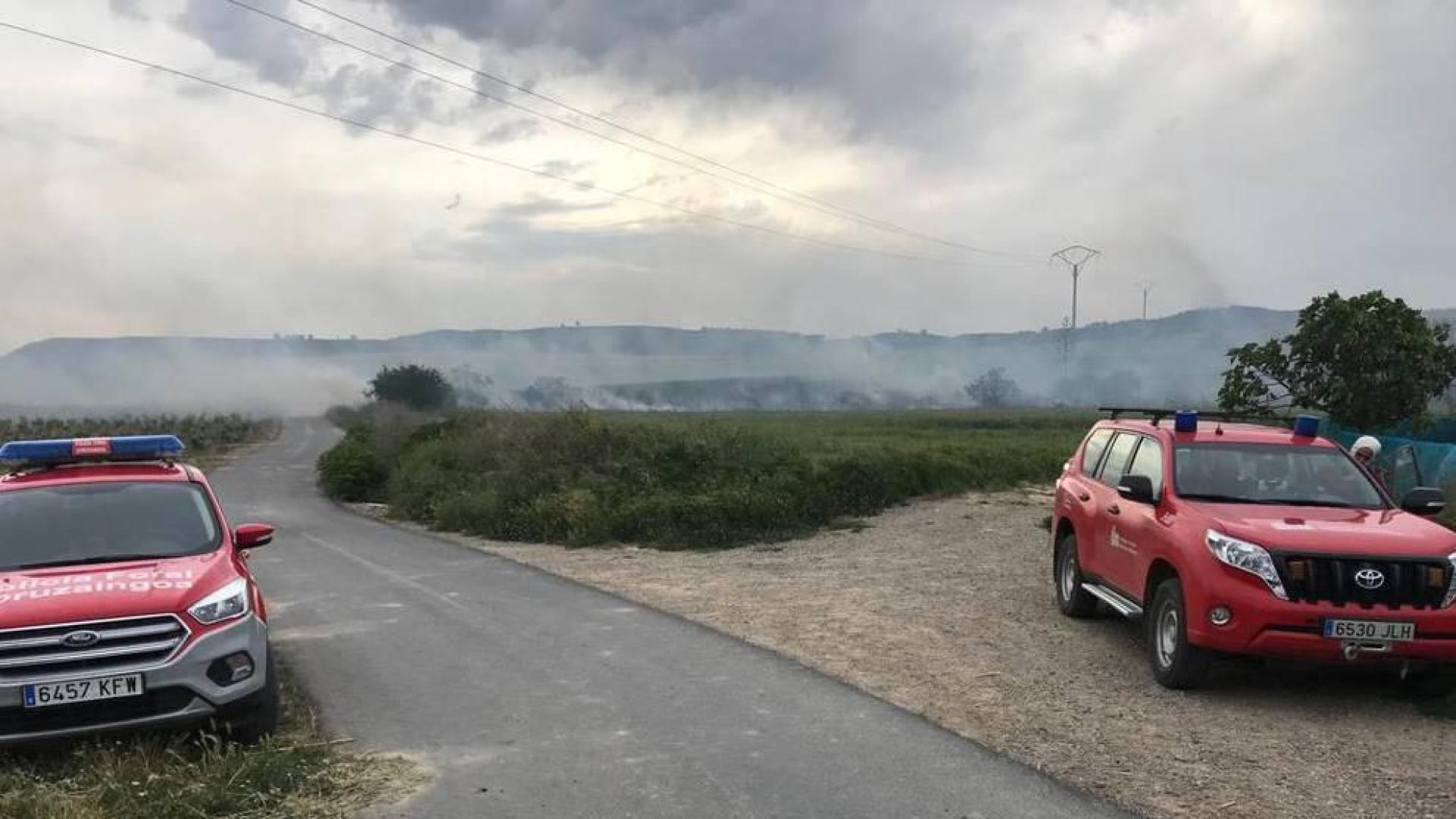 Controlado un incendio entre Viana y Moreda de Álava