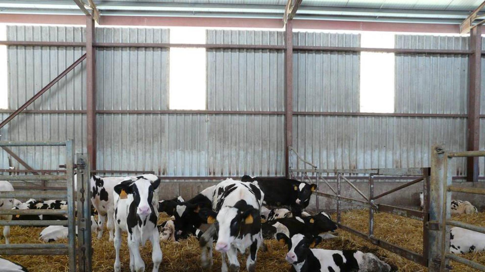 La visita a Lacturale de un grupo de personas sordociegas