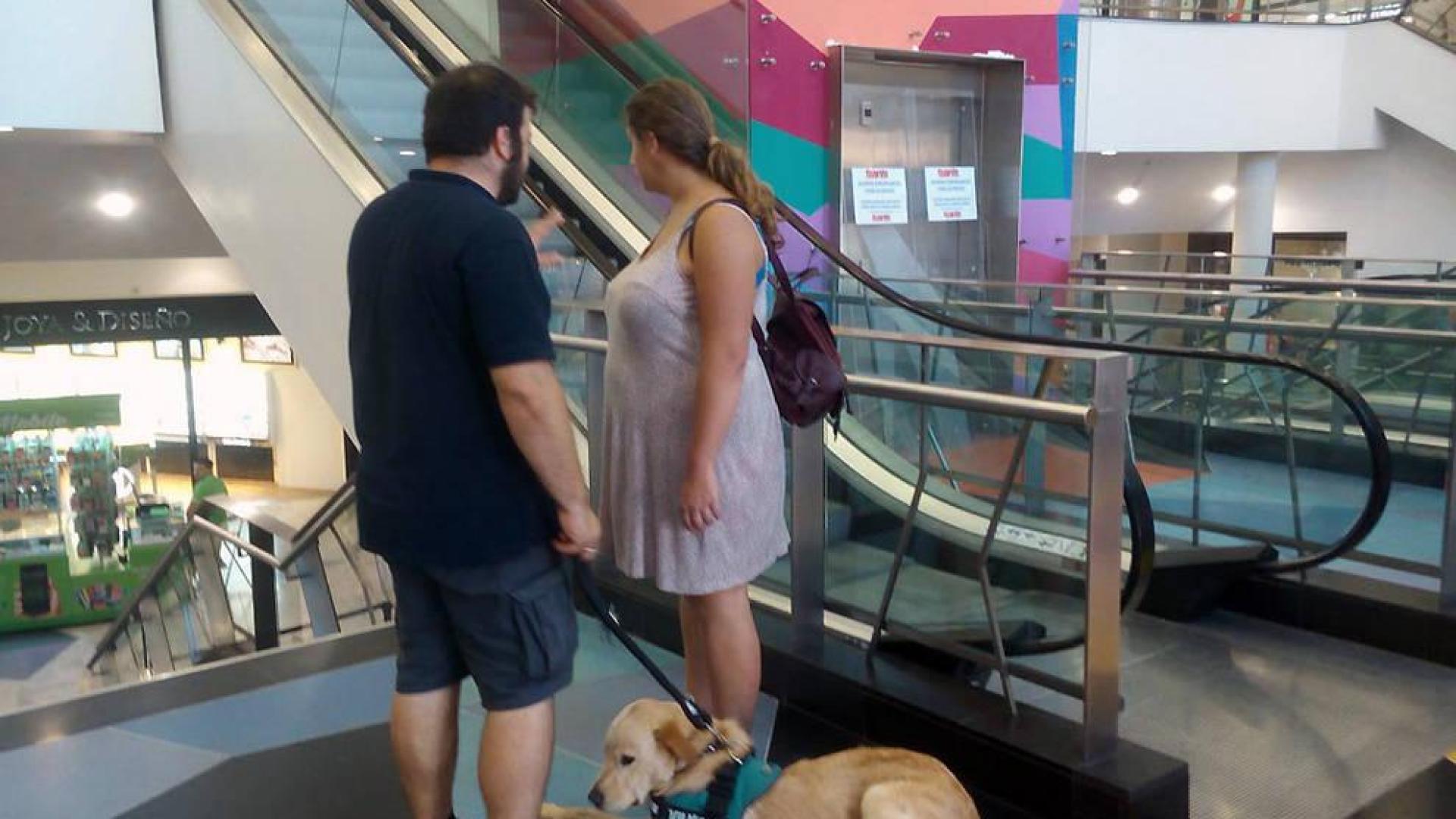 Perros adiestrados ayudan a detectar las crisis epilépticas antes de que se produzcan