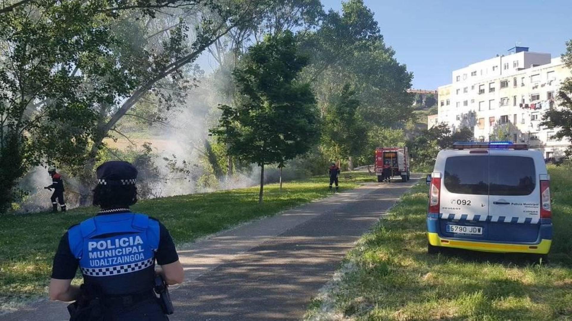 Sofocan fuegos de pelusa intencionados en Pamplona