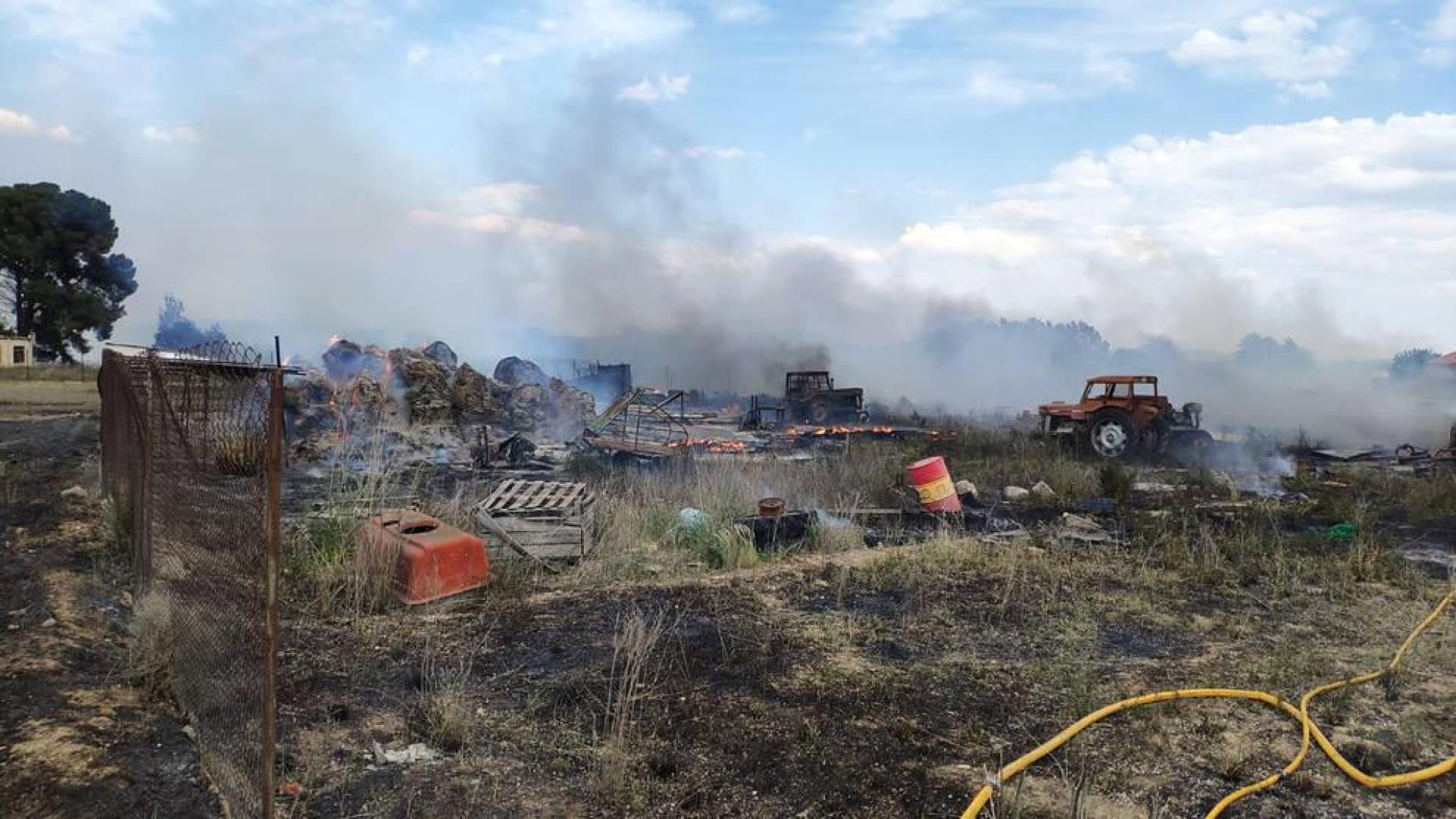Un incendio causa destrozos en una caseta y un pinar en Tudela