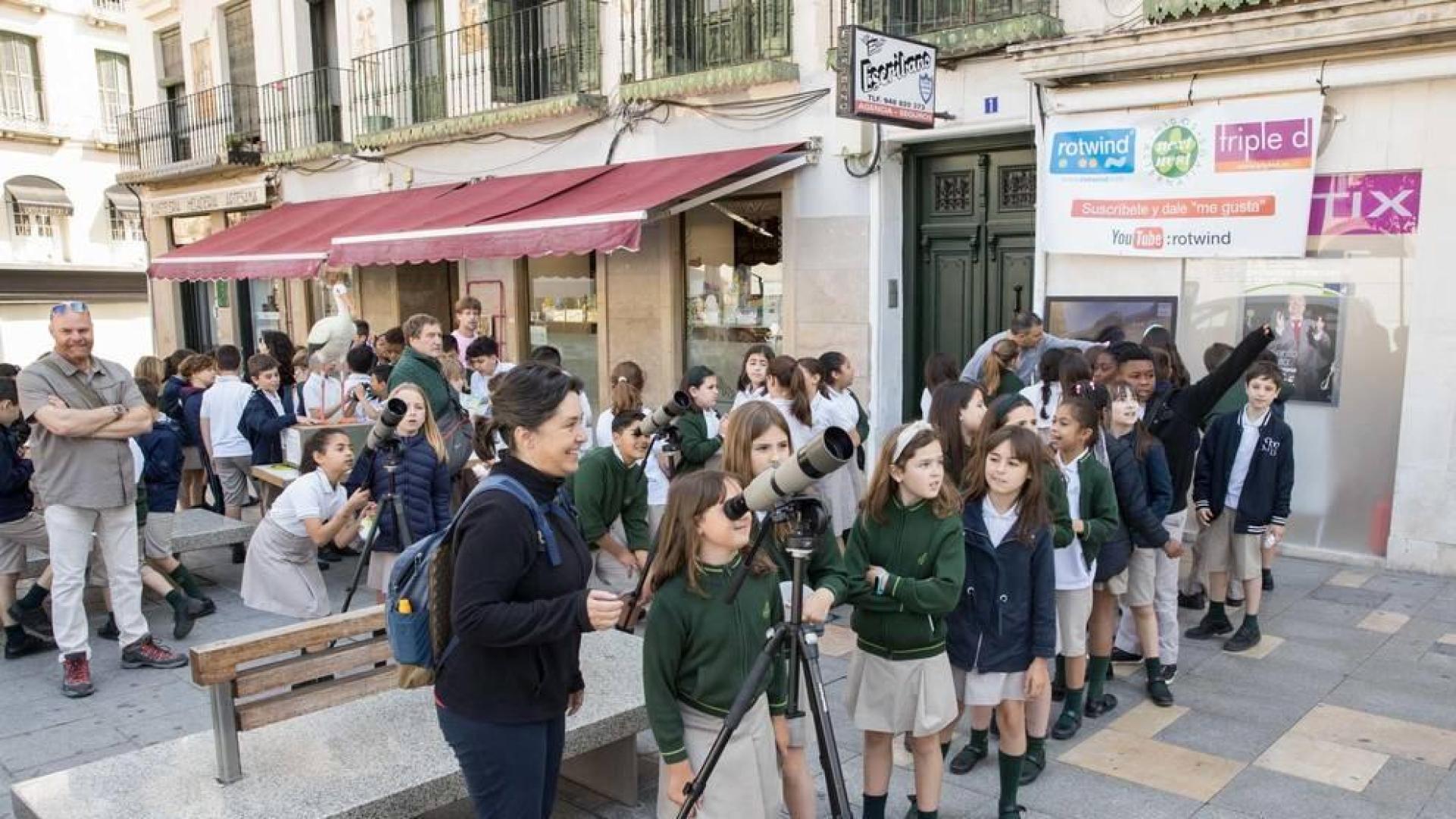 'Observatorio' de cigüeñas en Tudela