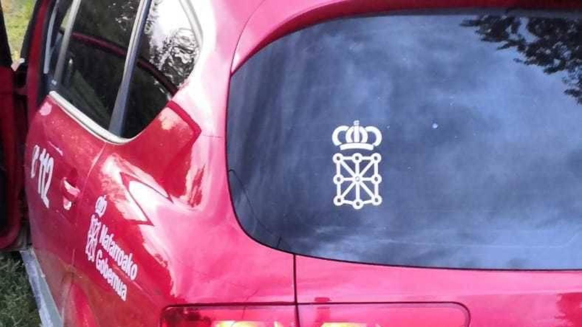 Cernícalo envenenado encontrado por la Policía Foral