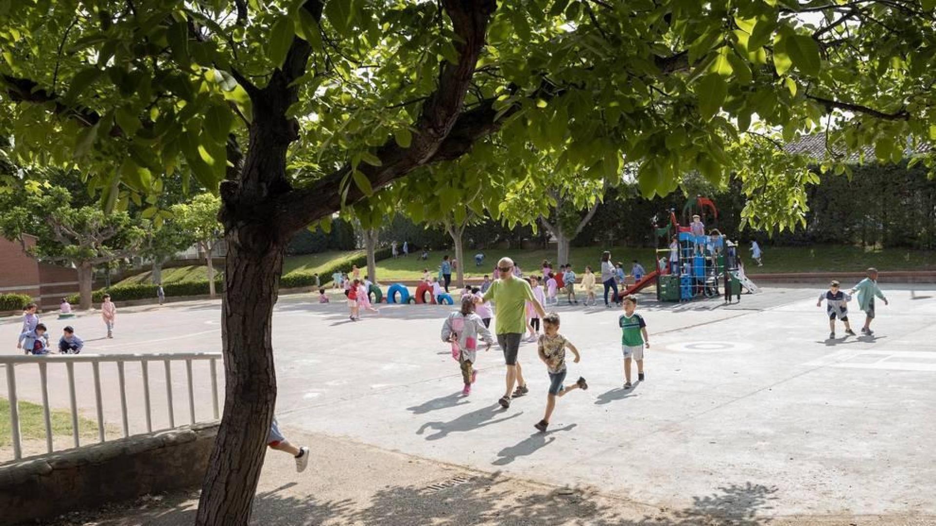 Alumnado del CP Griseras de Tudela durante una jornada de clase.