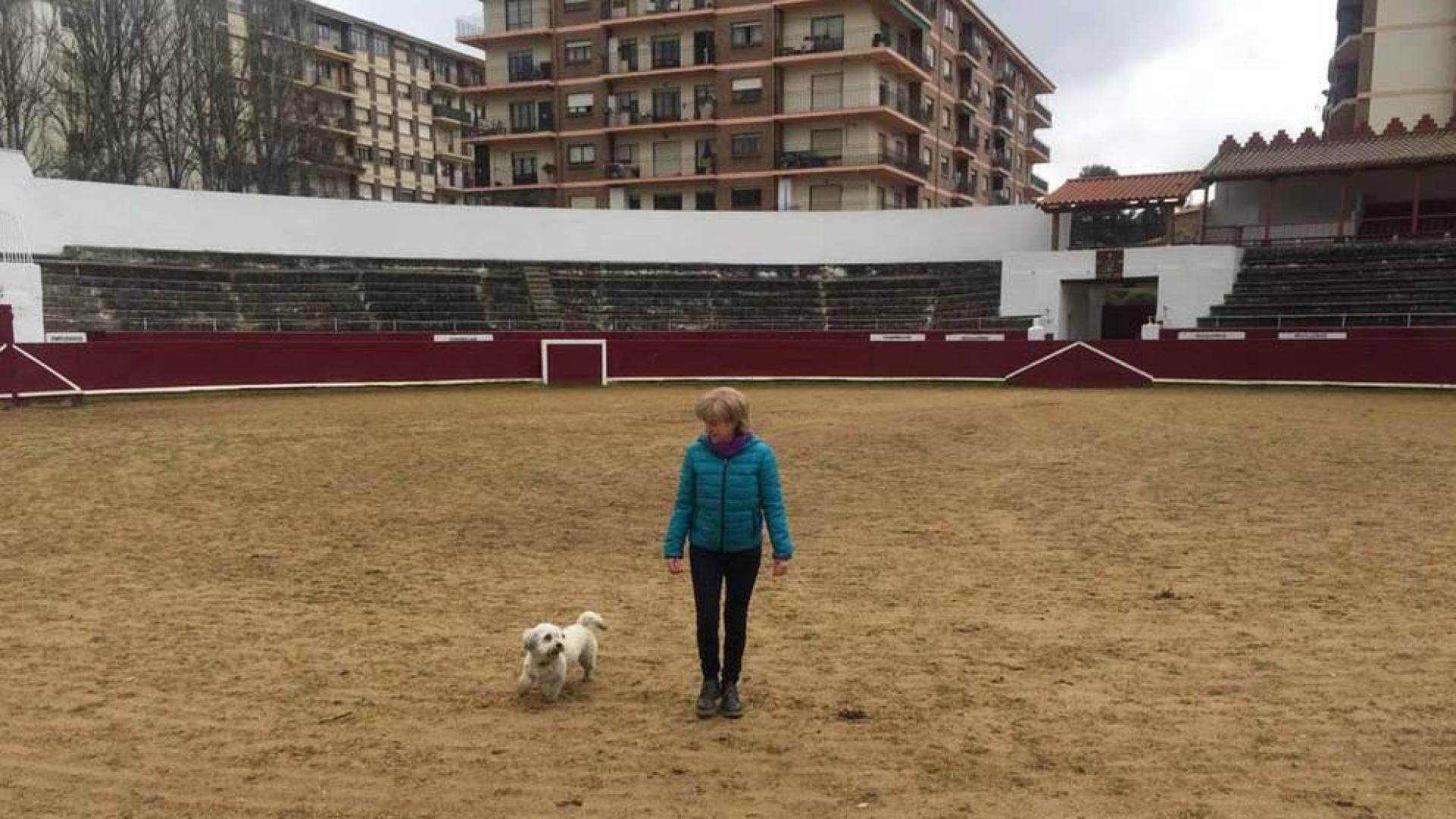 La plaza de toros de Estella vive su primer día convertida en pipican
