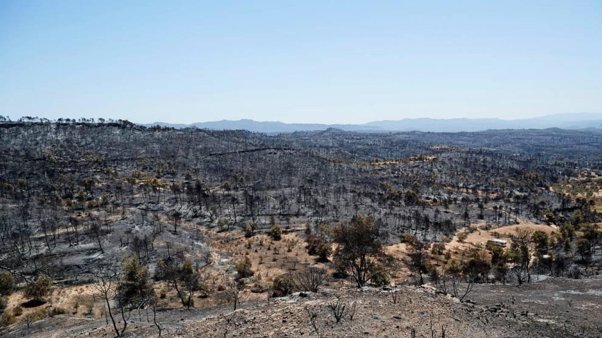 Controlado el fuego de Toledo, casi el de Tarragona y aún sigue activo el de Madrid
