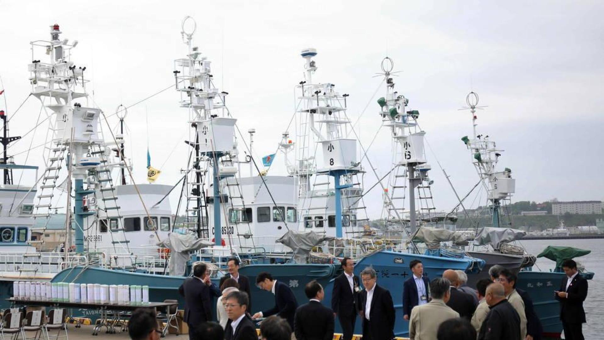 Japón retoma la caza comercial de ballenas después de 30 años