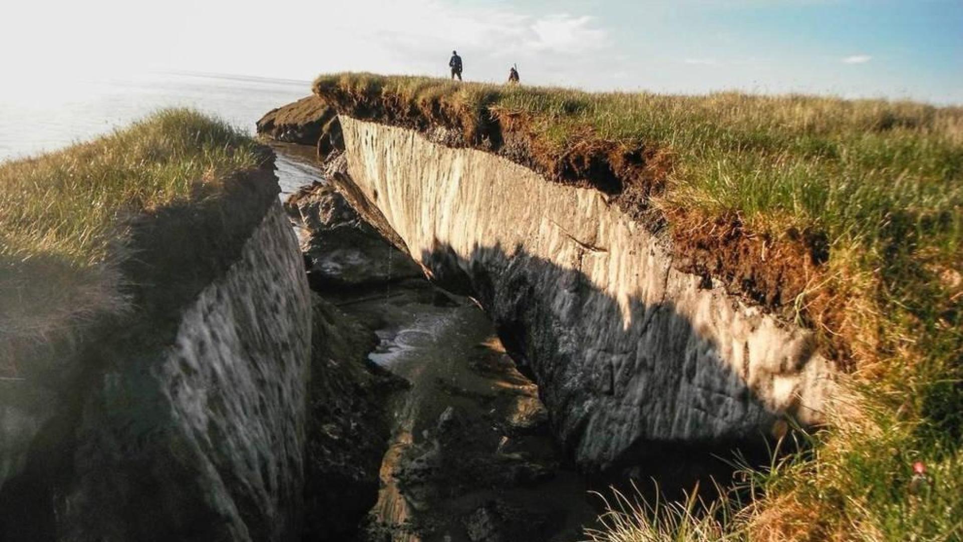La erosión de la costa revela una capa de permafrost en el lago Teshekpuk, en Alaska