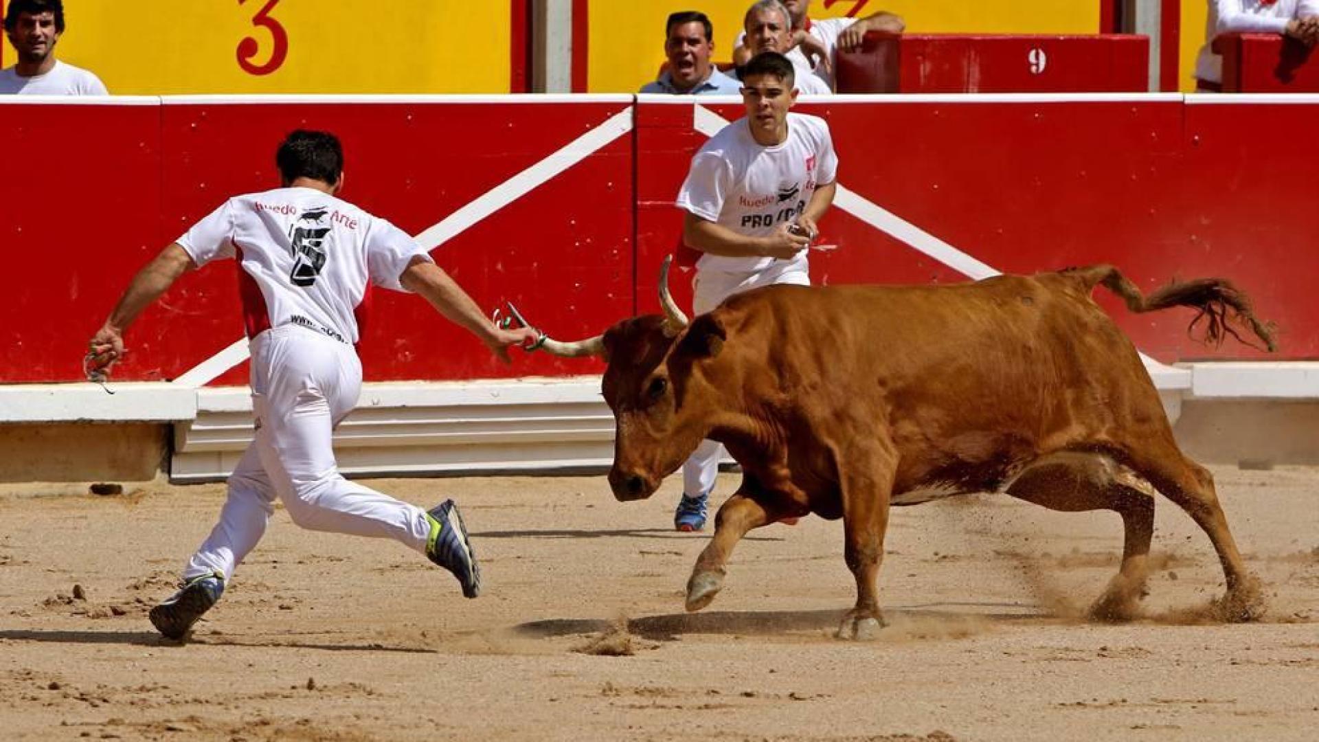 La plaza de toros de Pamplona acogió este domingo 9 de julio el tradicional festejo taurino.